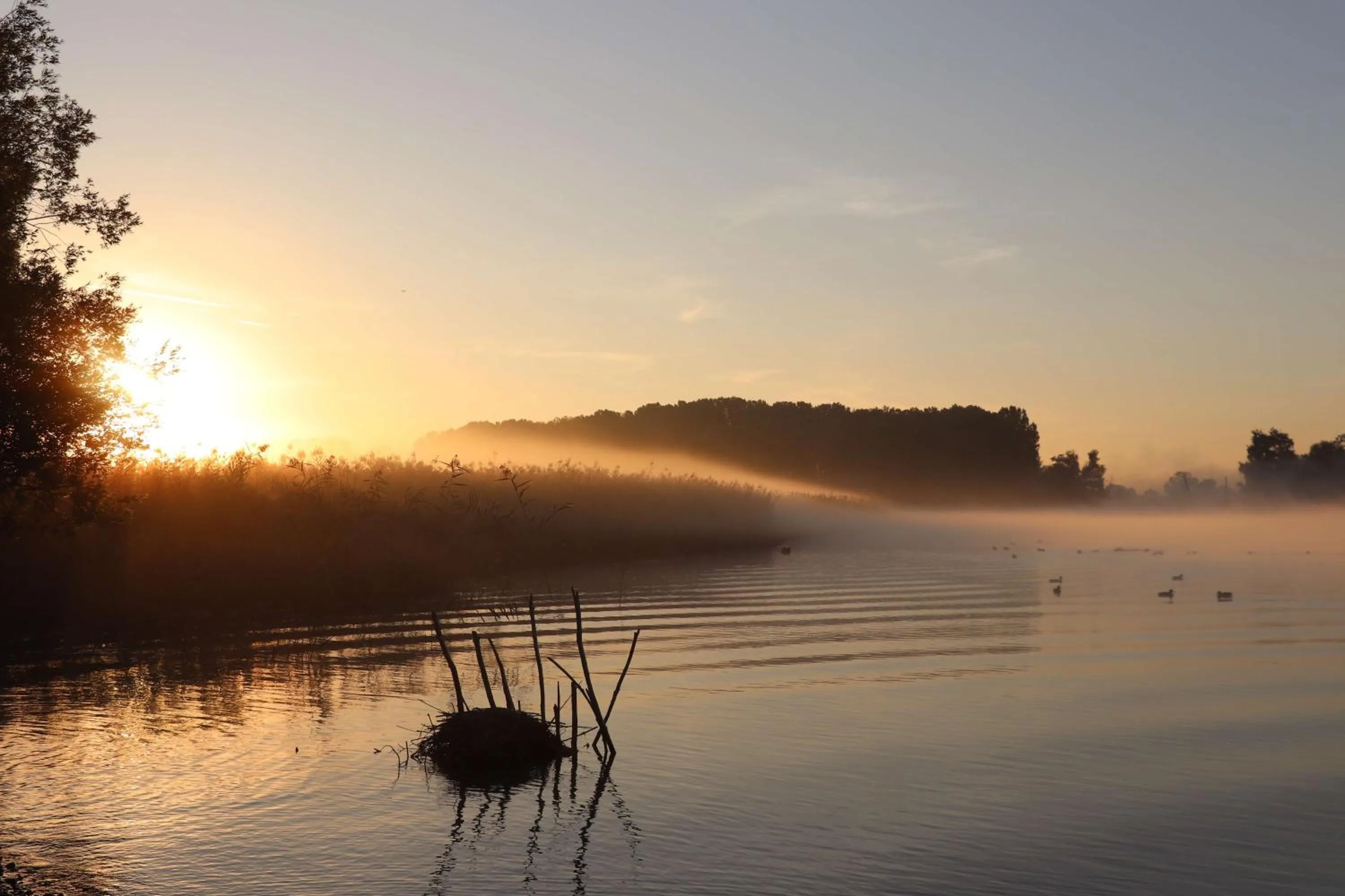 Natural landscape in Hotel Porto Sofie Gottlieben
