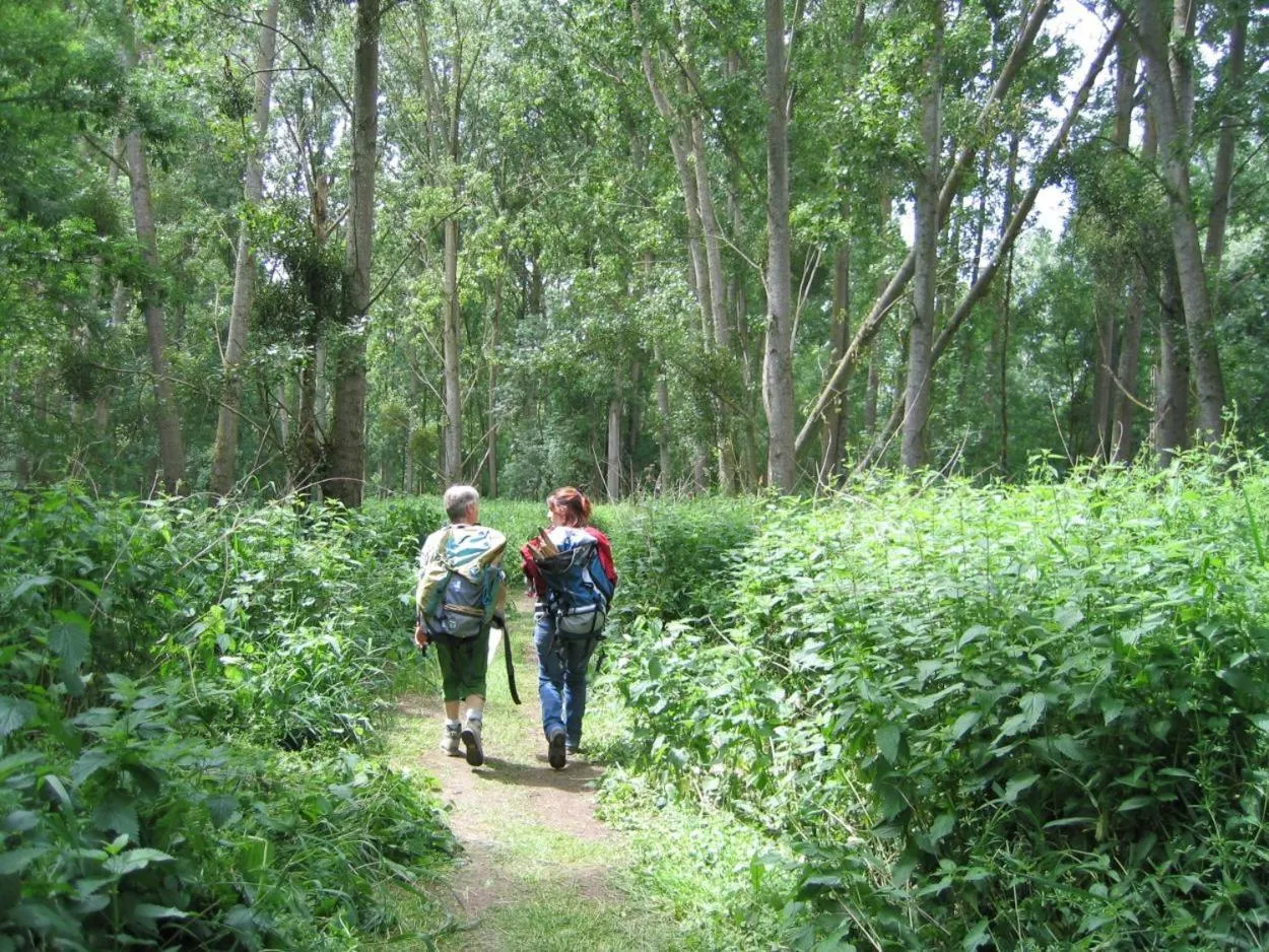 Hiking in Logis Hotel La Croix Blanche Fontevraud