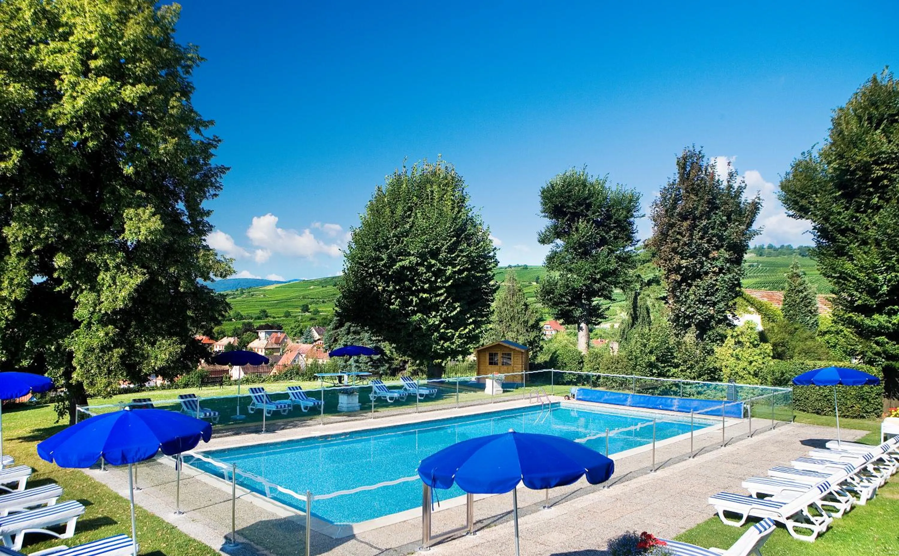 Swimming pool in Château d'Isenbourg & SPA