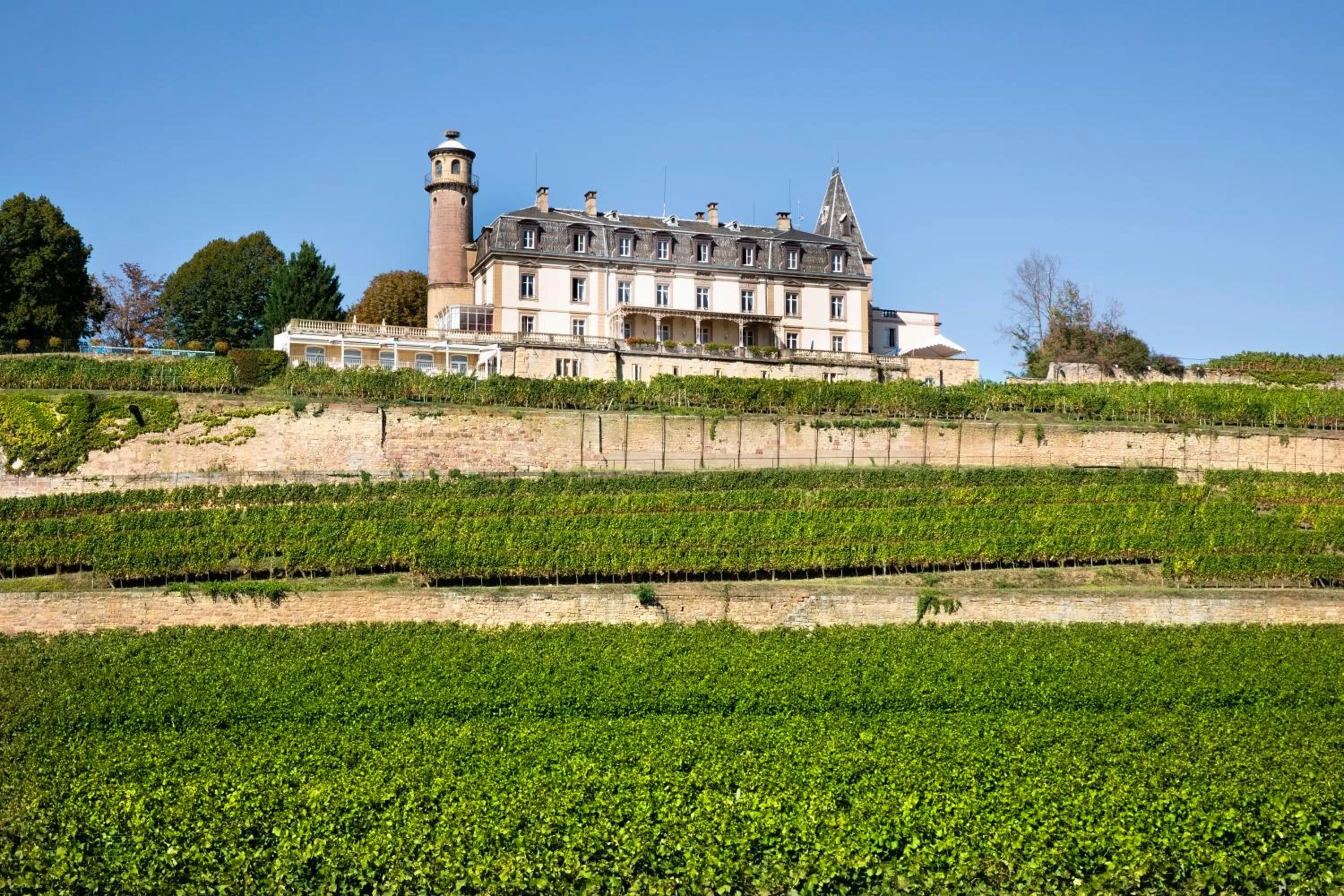 Property building in Château d'Isenbourg & SPA