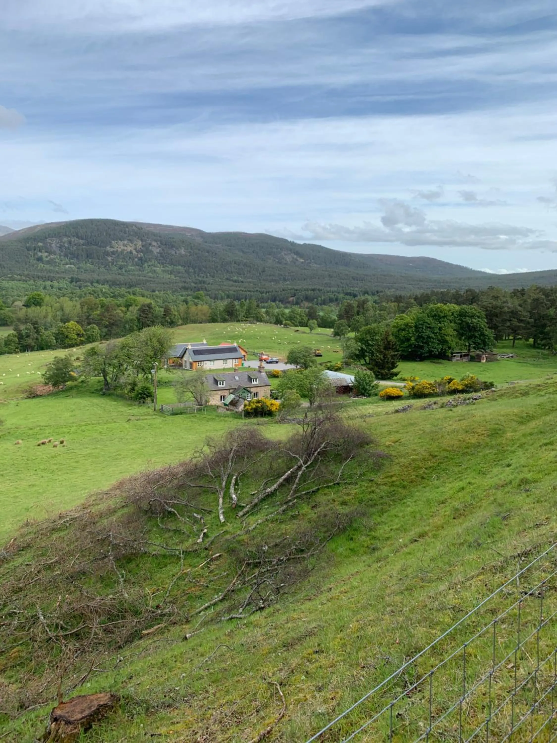 Nearby landmark in The Auld Kirk