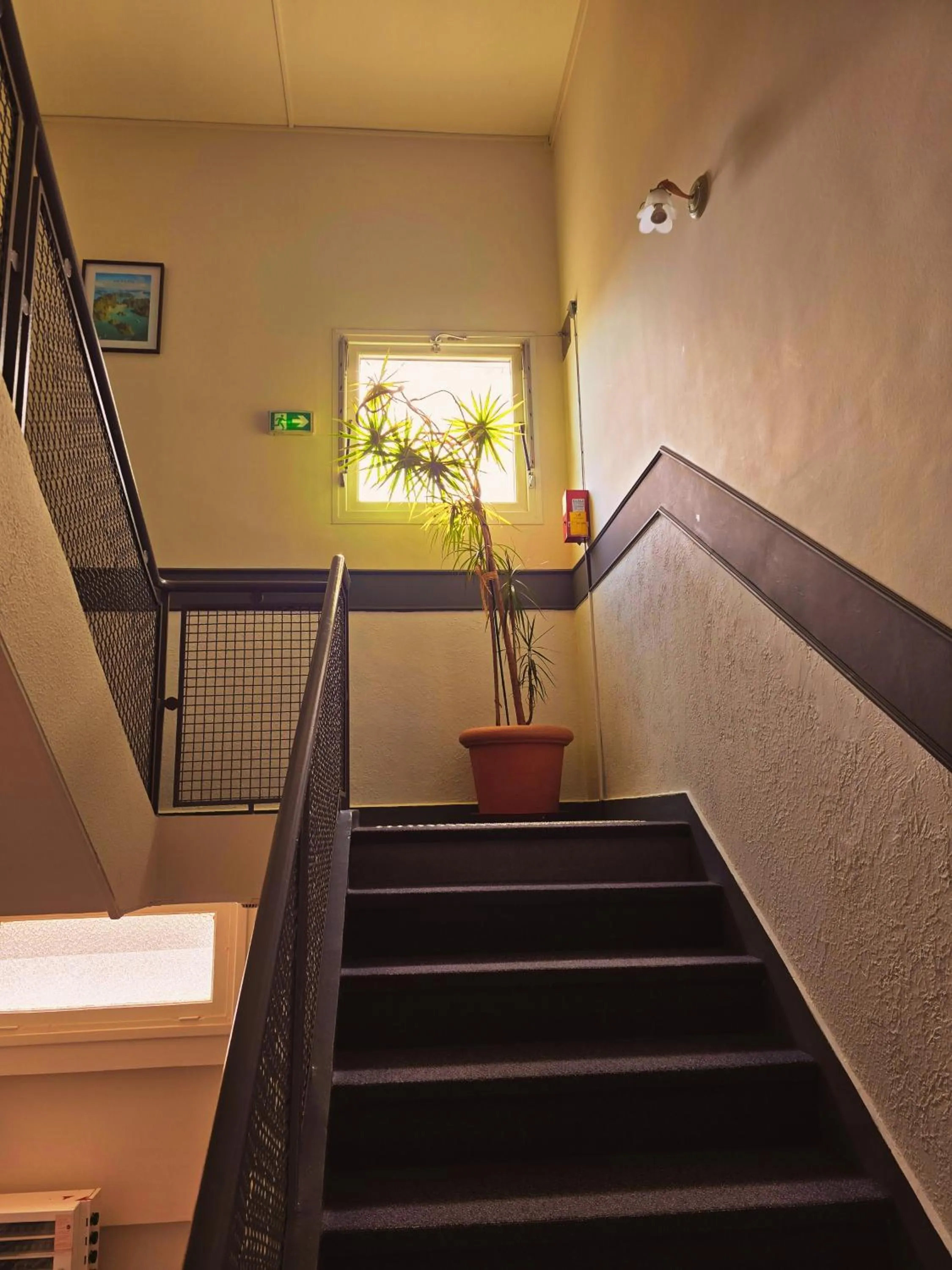 Hôtel Alexandra Centre Ville