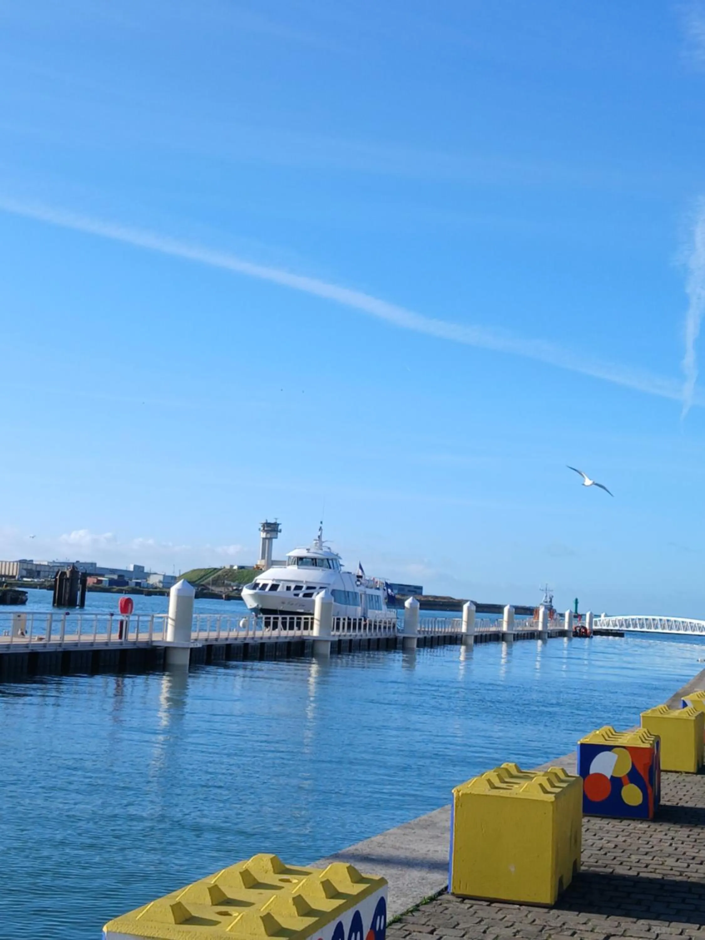 Sea view in Hôtel Alexandra Centre Ville
