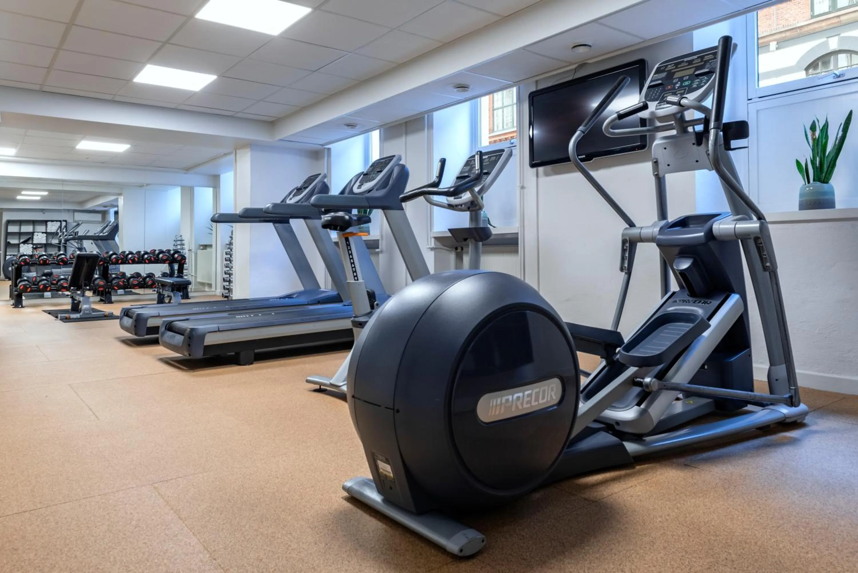 Fitness centre/facilities in Hotel Mayfair