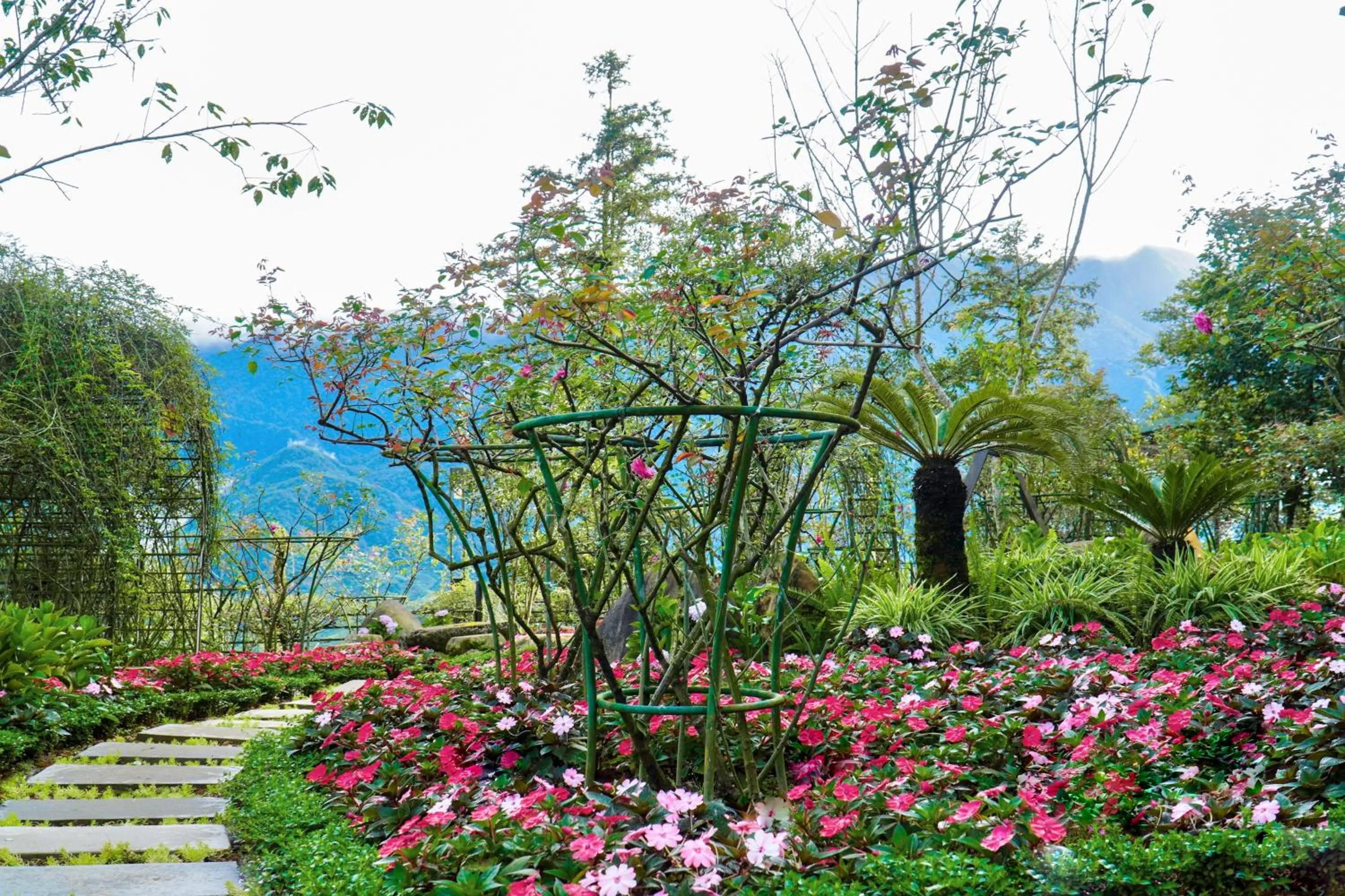 Garden in Sapa Highland Resort & Spa