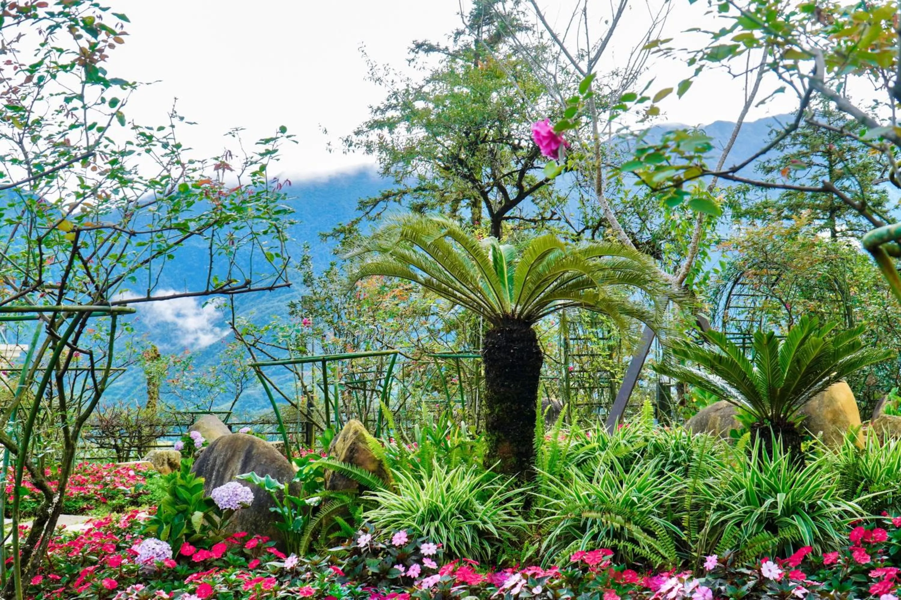 Garden in Sapa Highland Resort & Spa