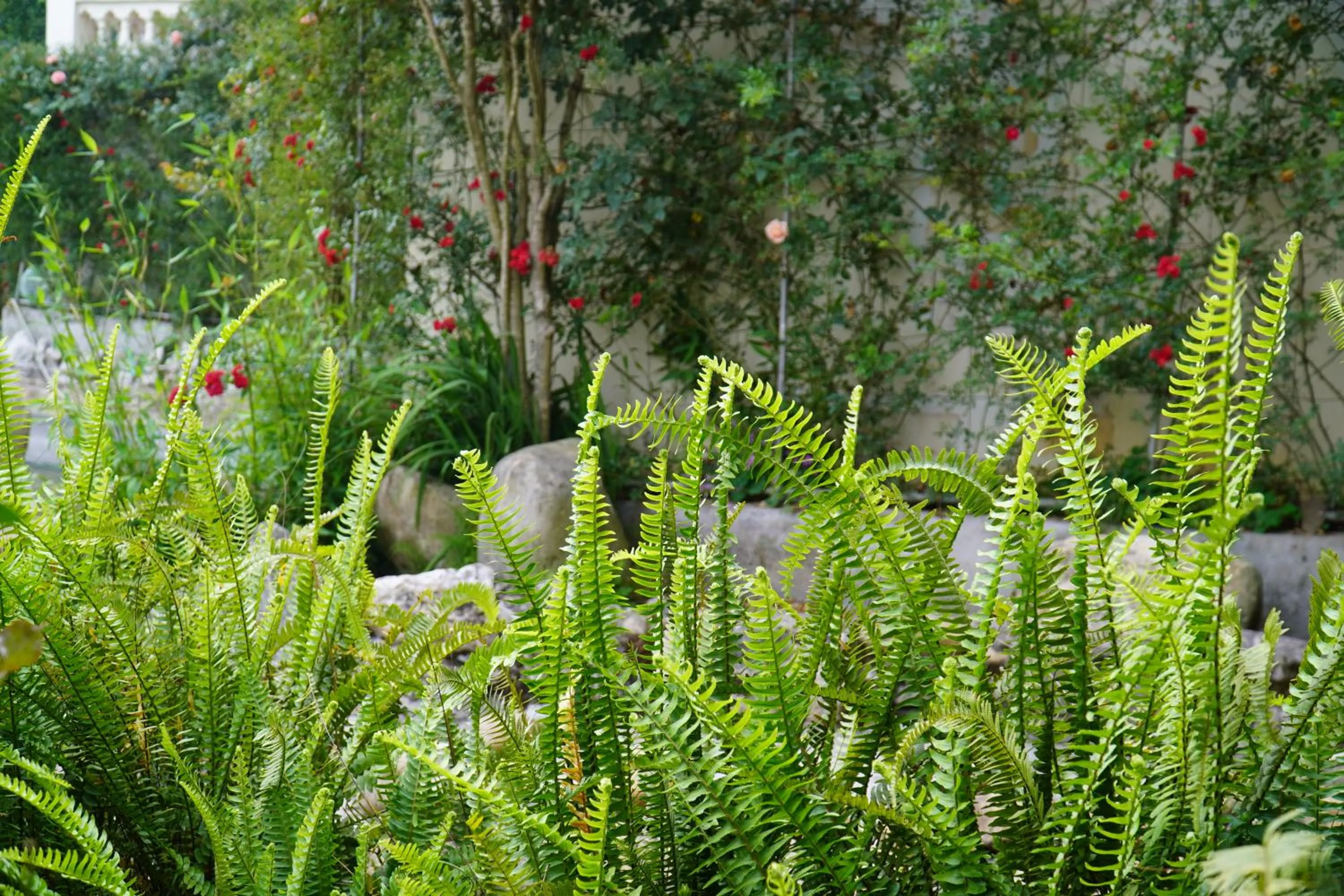 Garden in Sapa Highland Resort & Spa