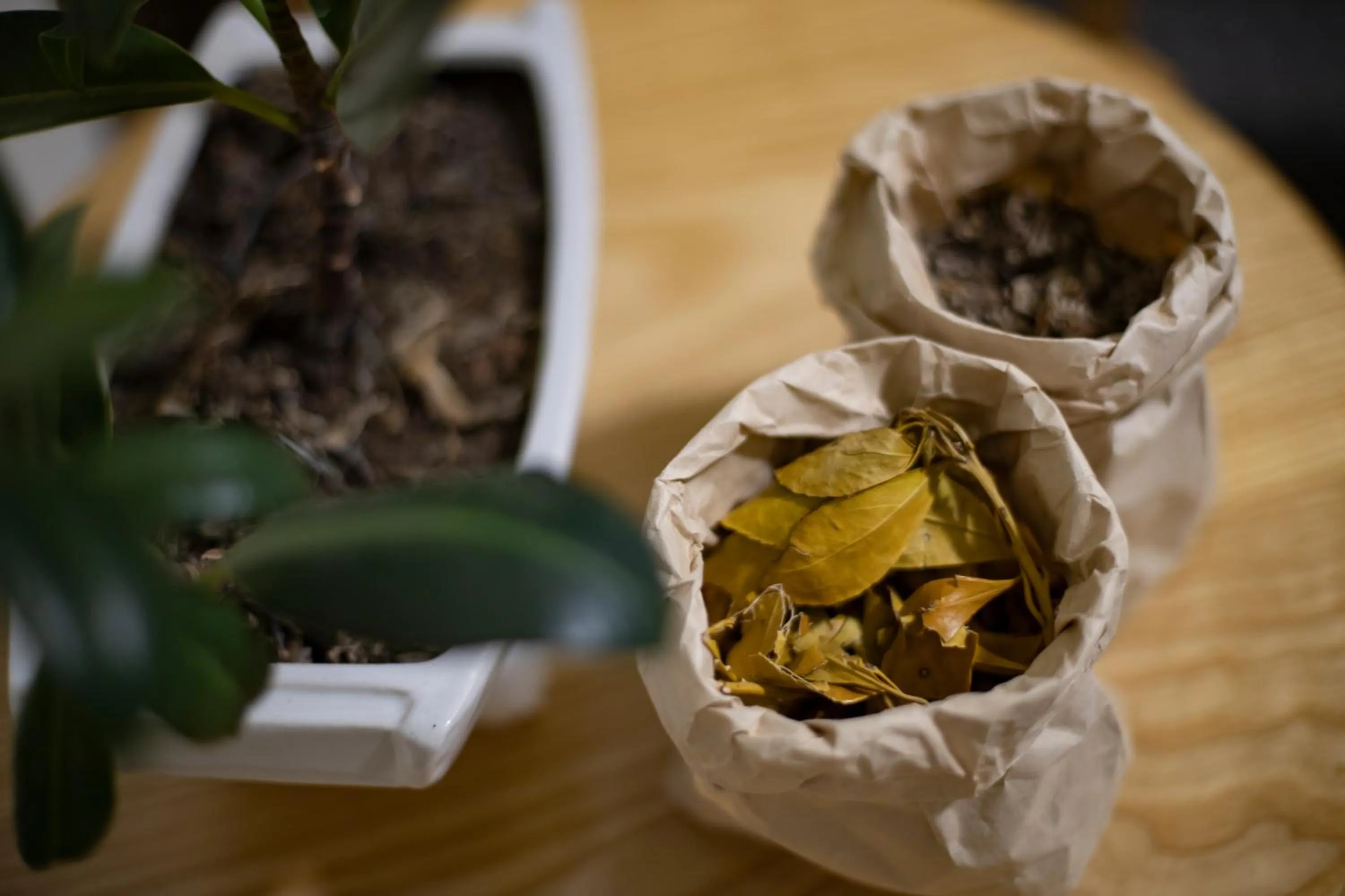 Spa and wellness centre/facilities in Sapa Highland Resort & Spa