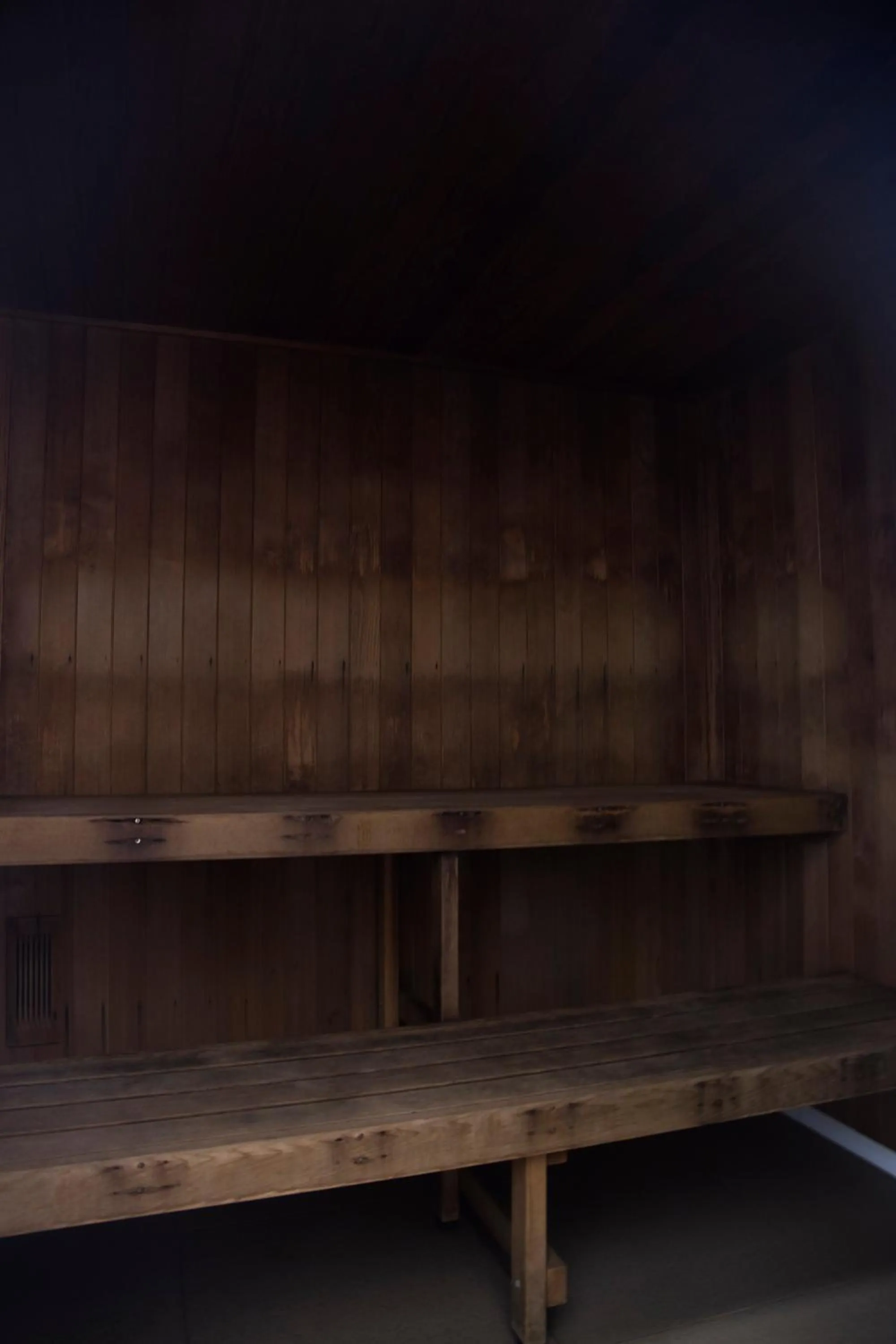 Steam room in Amazing Accommodations: Vogue