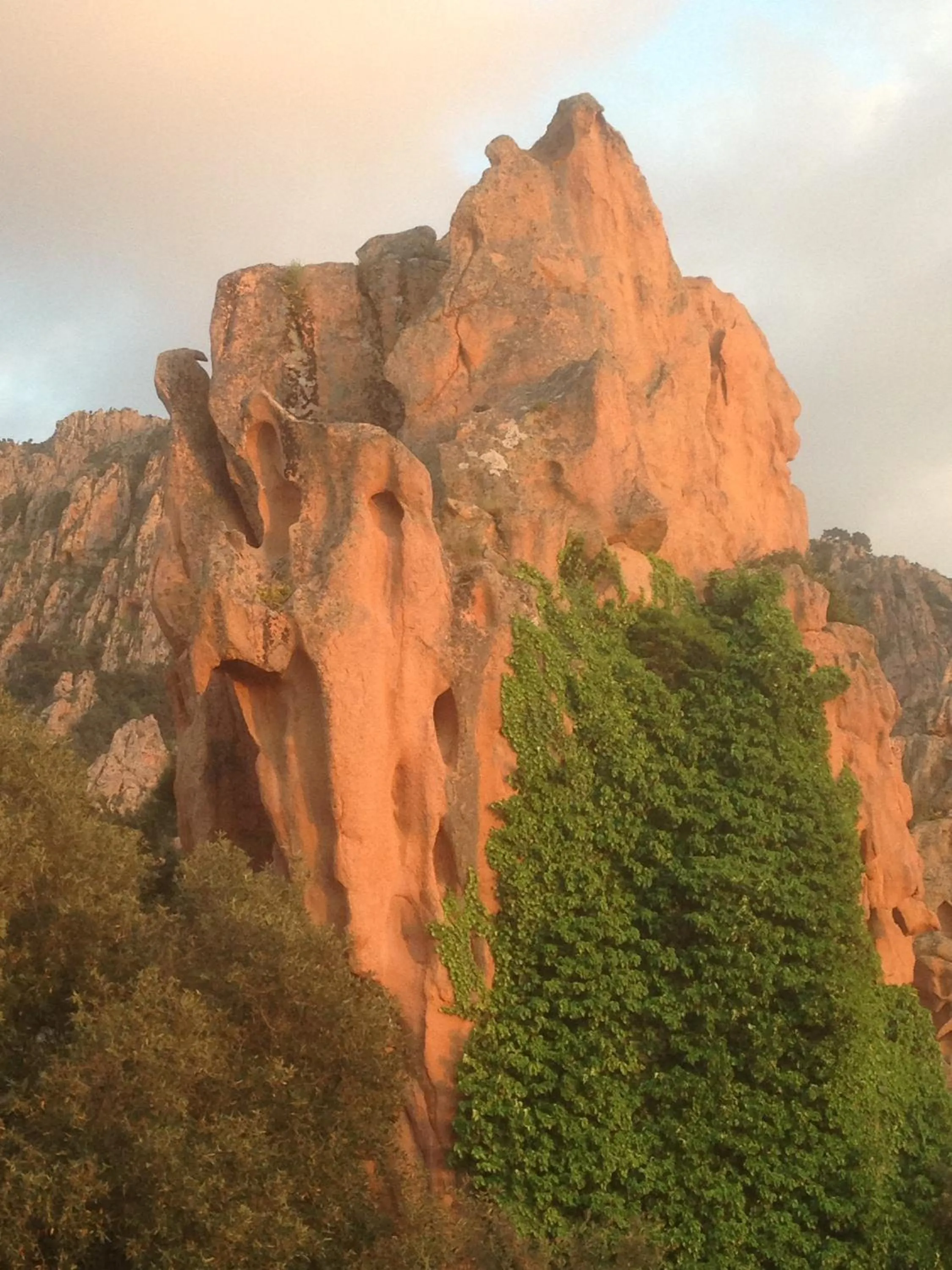 Area and facilities in Capo D'orto - Porto - Corse