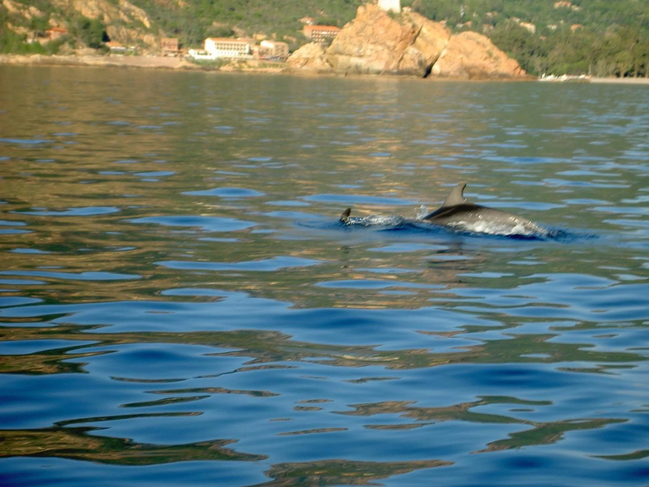 Area and facilities in Capo D'orto - Porto - Corse