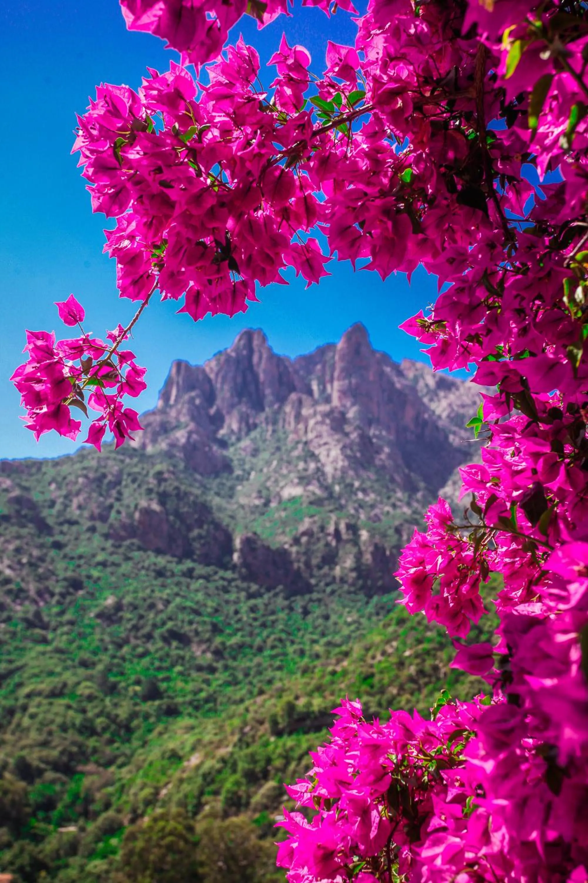 Nearby landmark in Capo D'orto - Porto - Corse