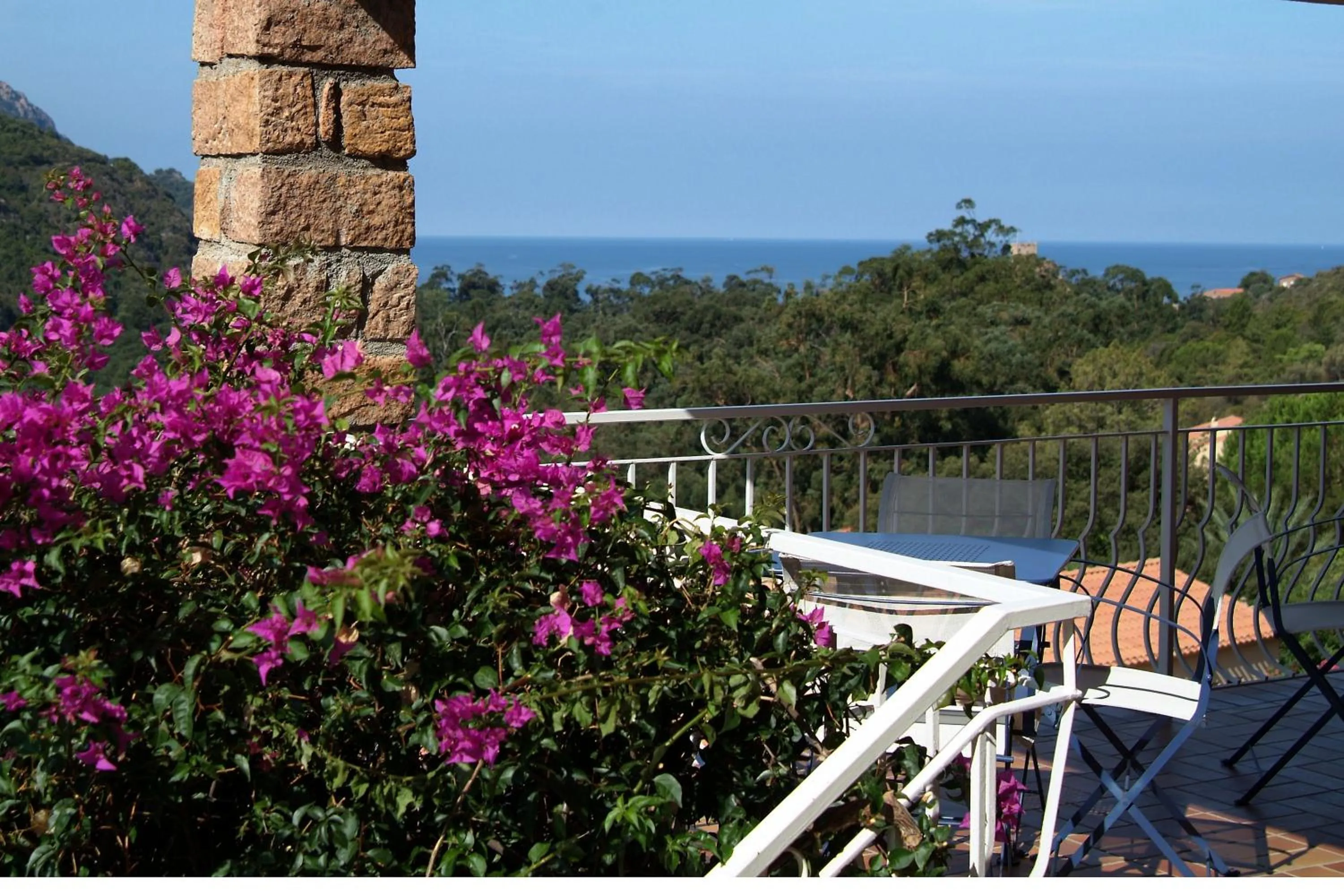 Spring in Capo D'orto - Porto - Corse