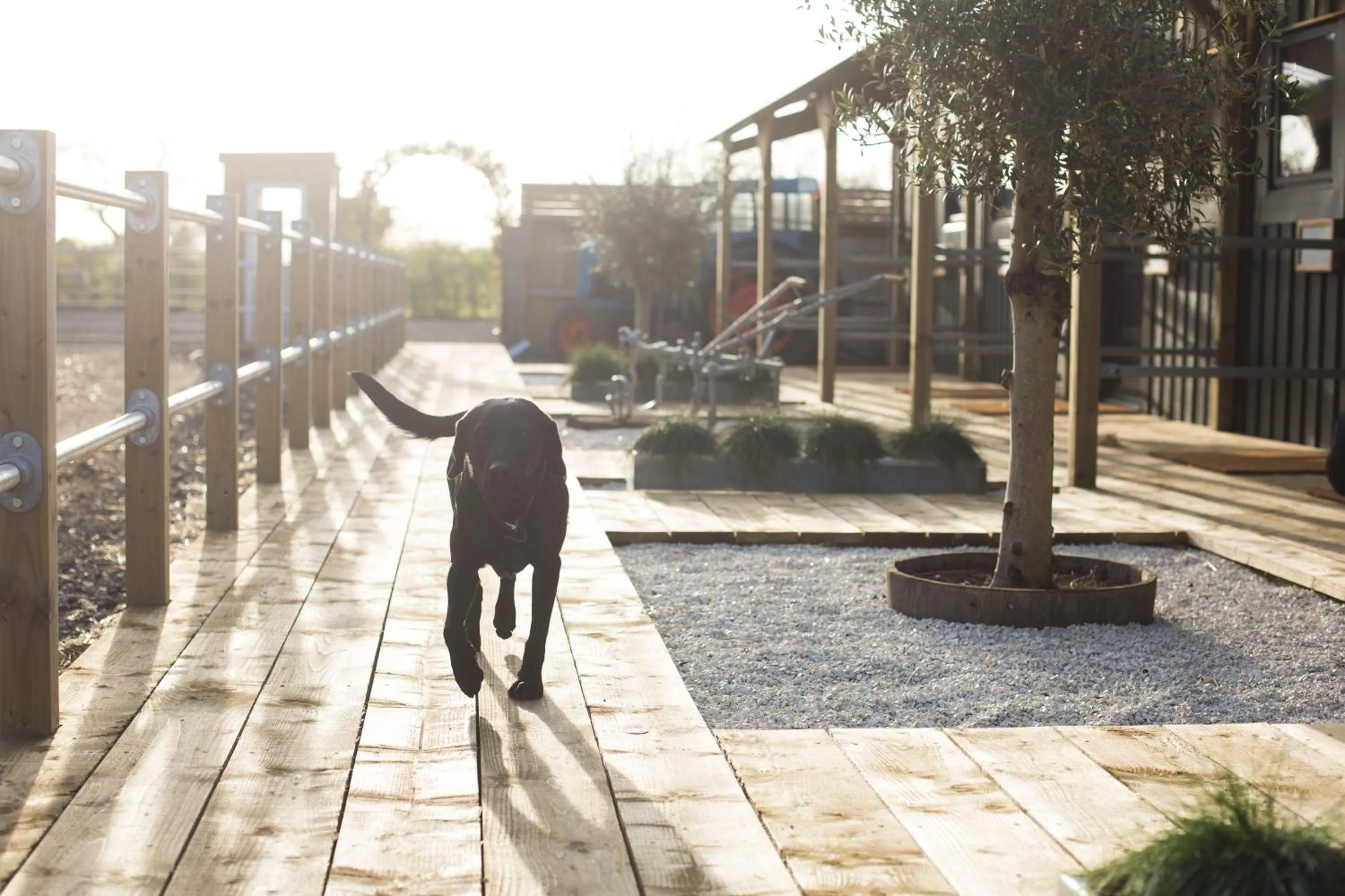 Facade/entrance in Owen House Farm