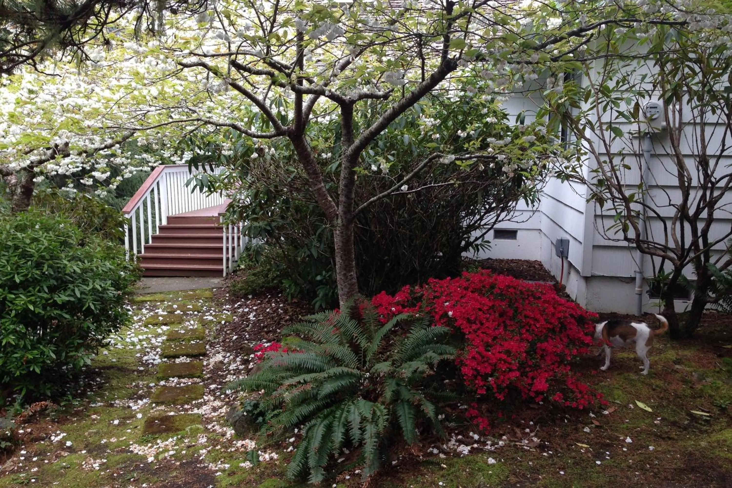 Hidden Luxury Beachfront Estate