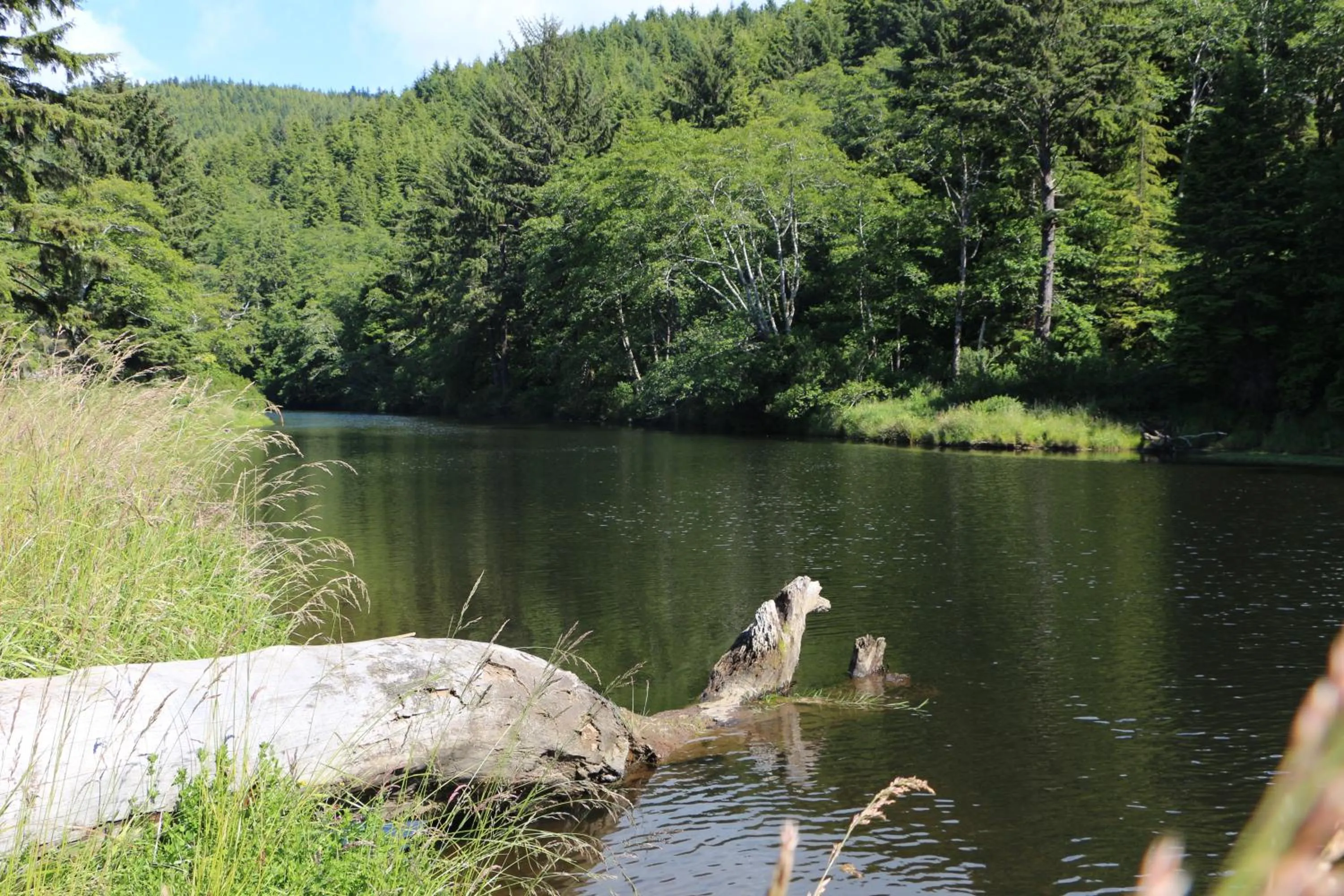 Hidden Luxury Beachfront Estate