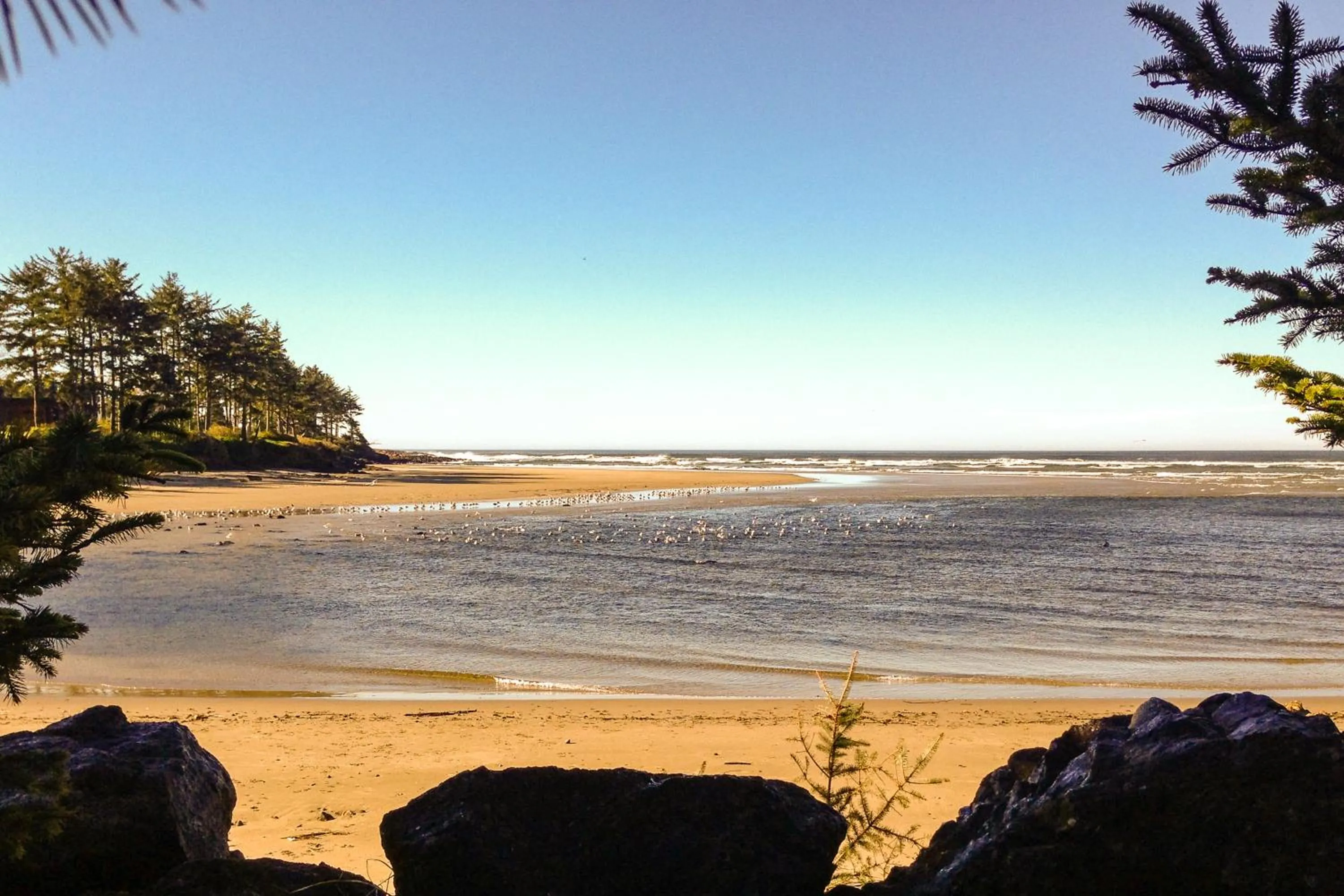 Hidden Luxury Beachfront Estate