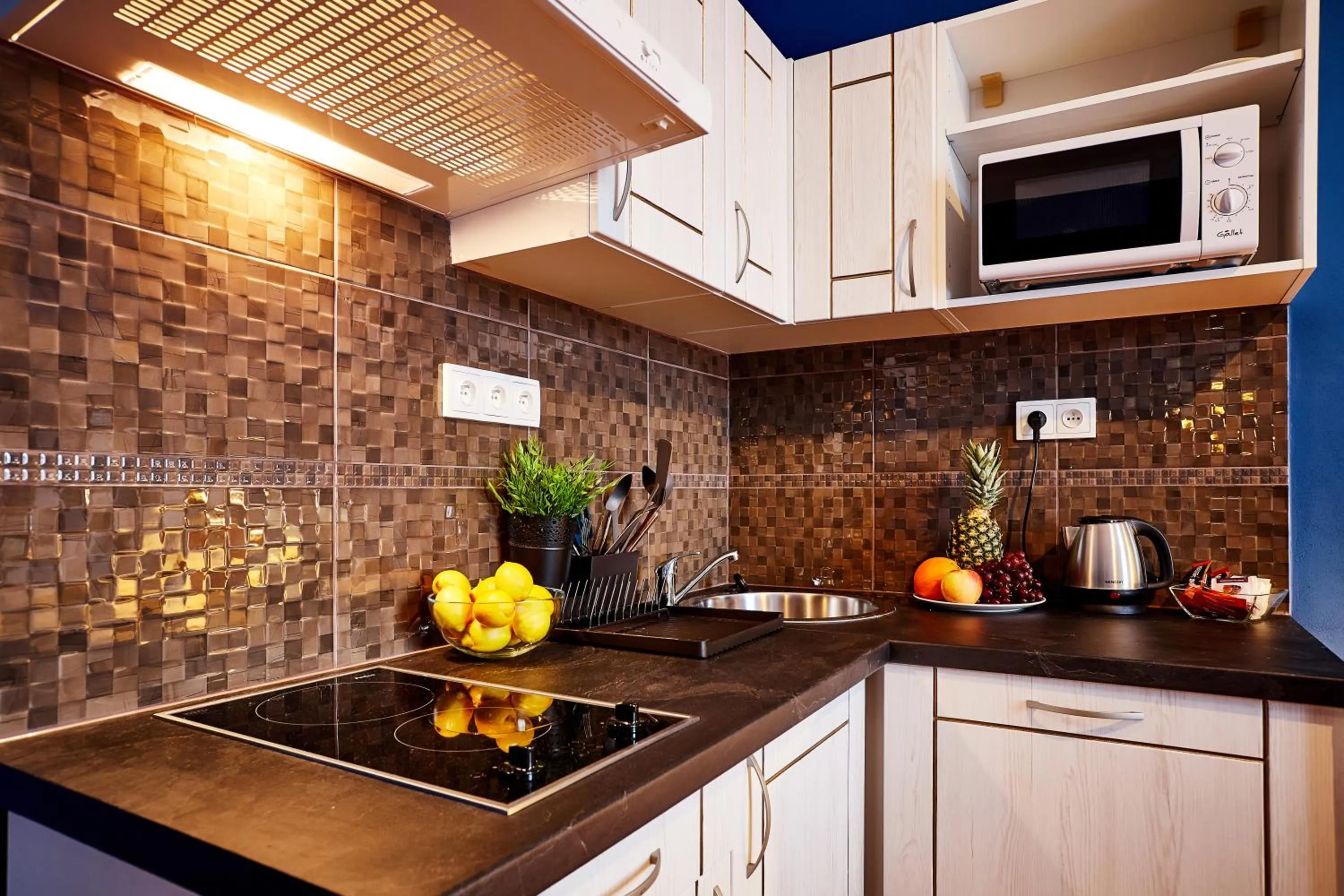 Kitchen or kitchenette in Residence Vaclavska