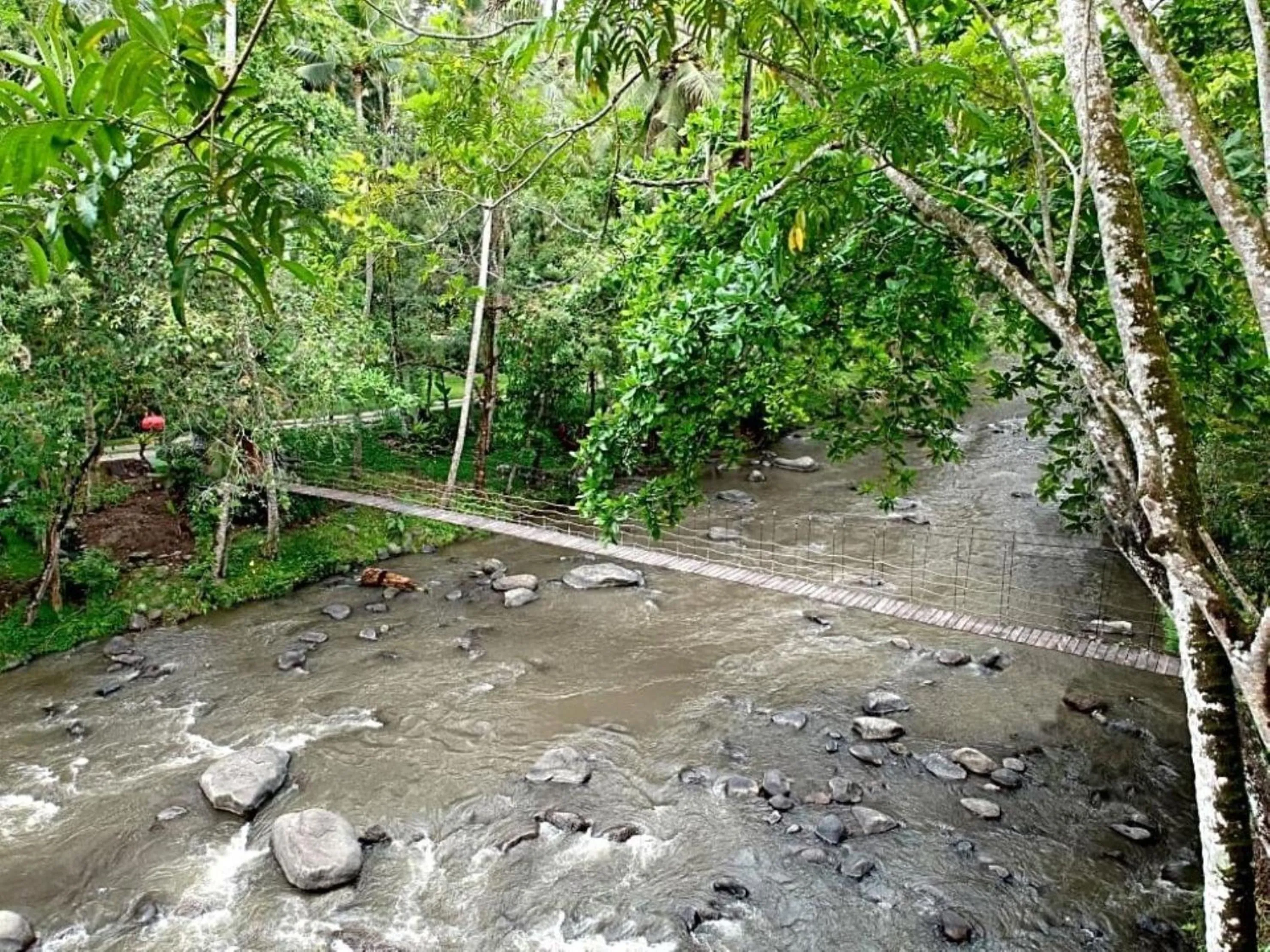 Spring in Permata Ayung Private Estate