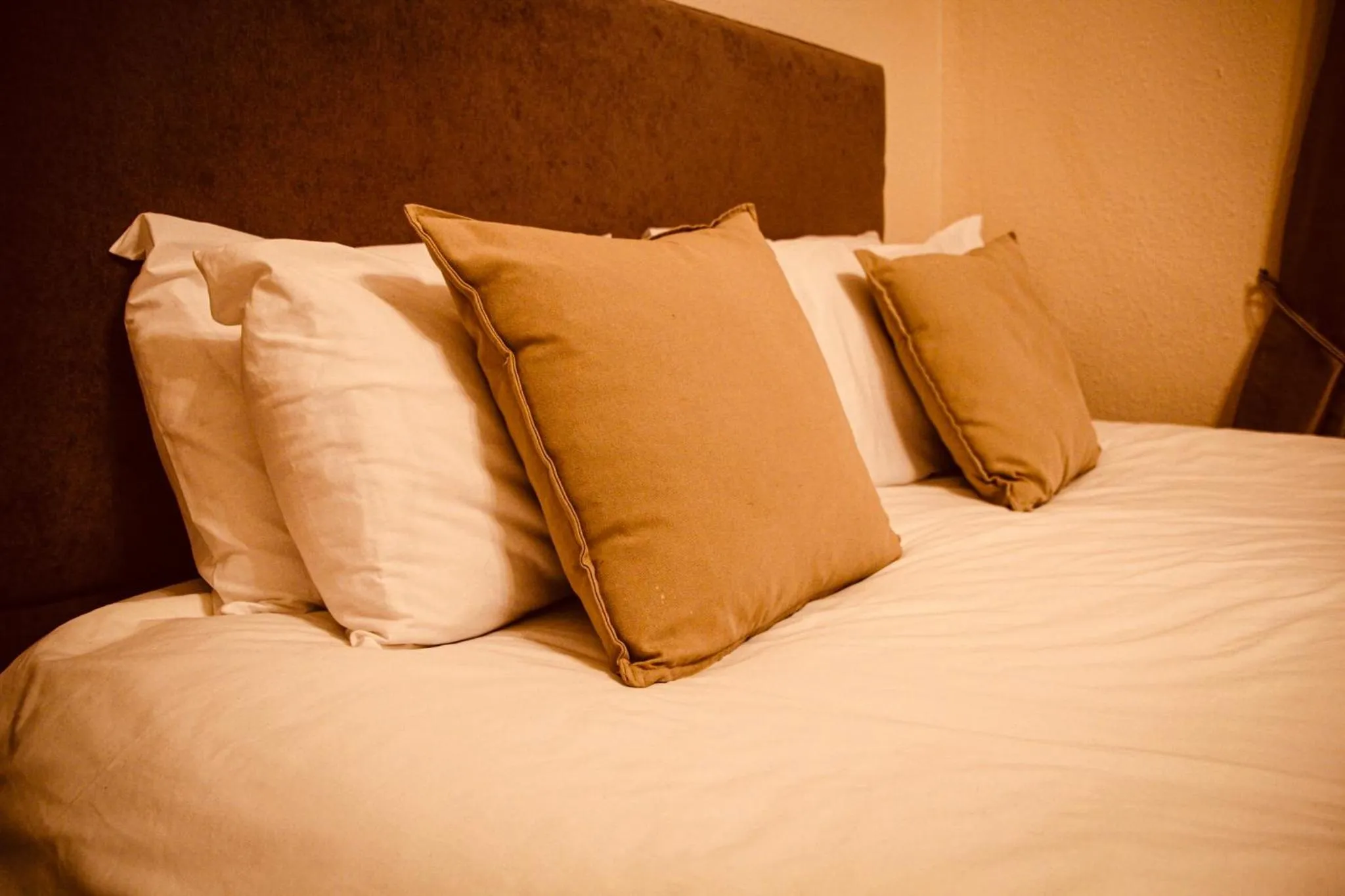 Bed in The Ham and Cheese