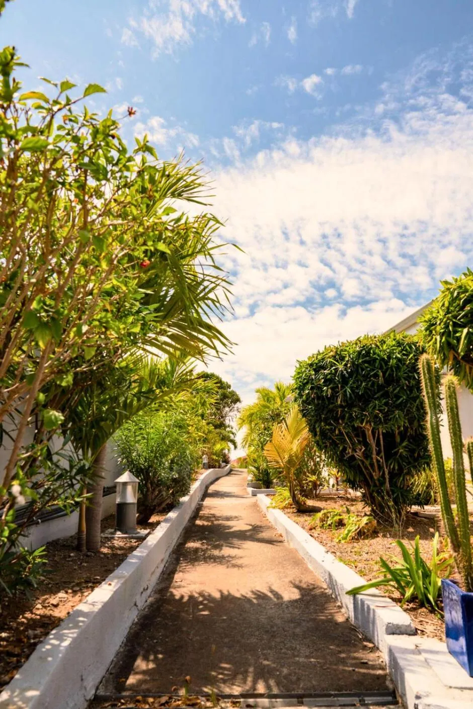 Garden in Les Balcons d'Oyster Pond