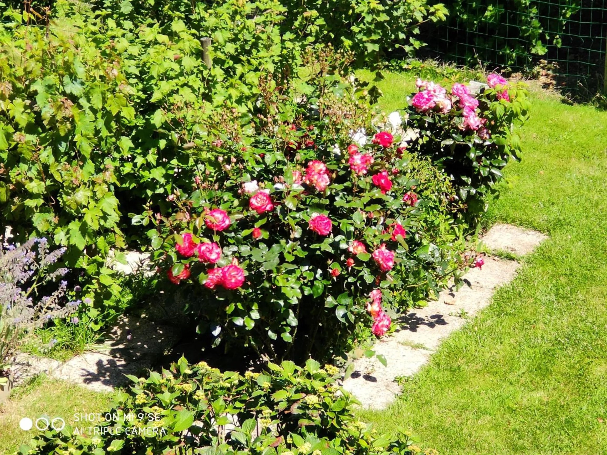 Les Chambres des Badious