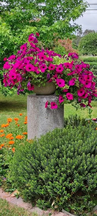 Les Chambres des Badious