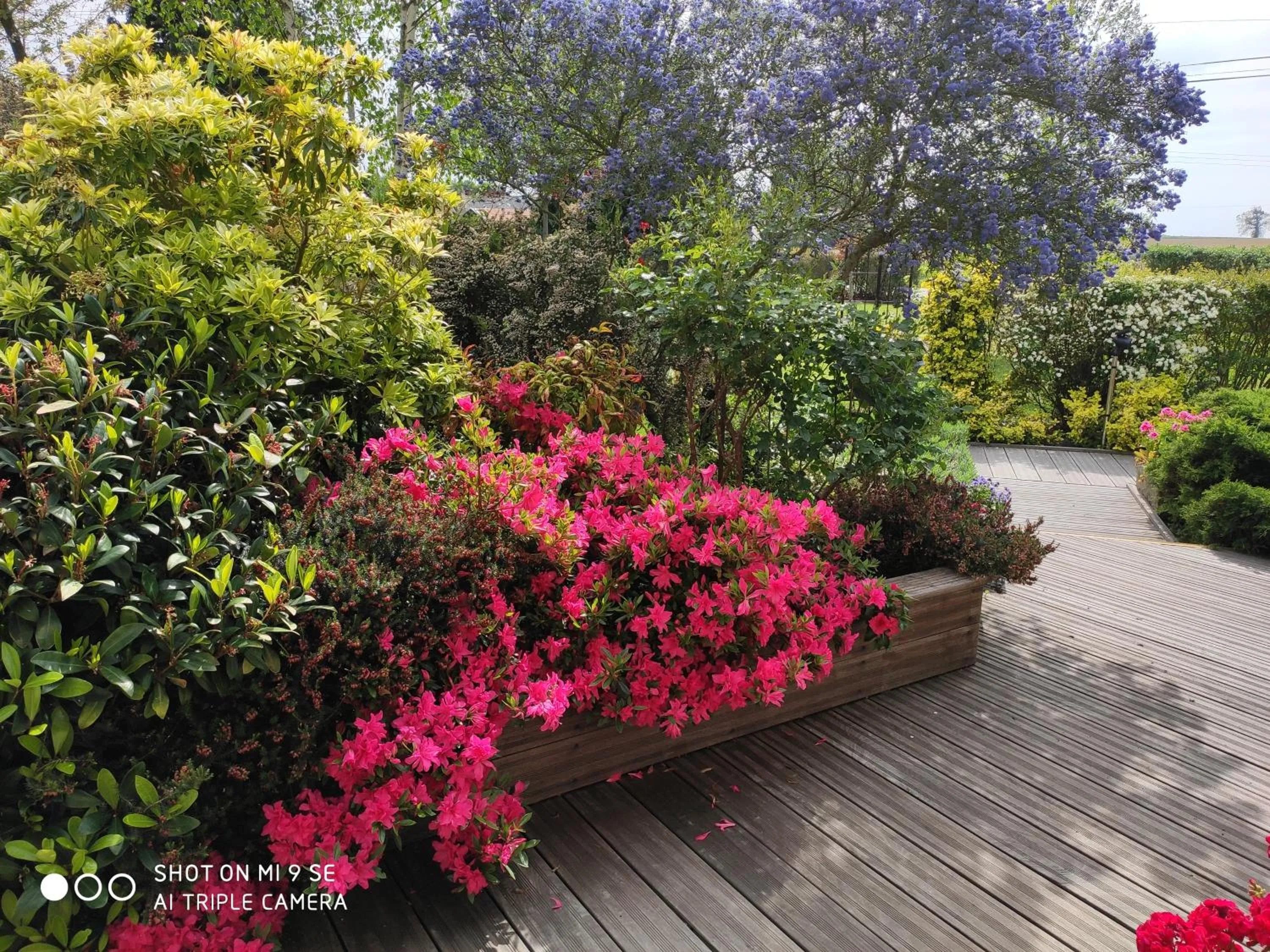 Les Chambres des Badious