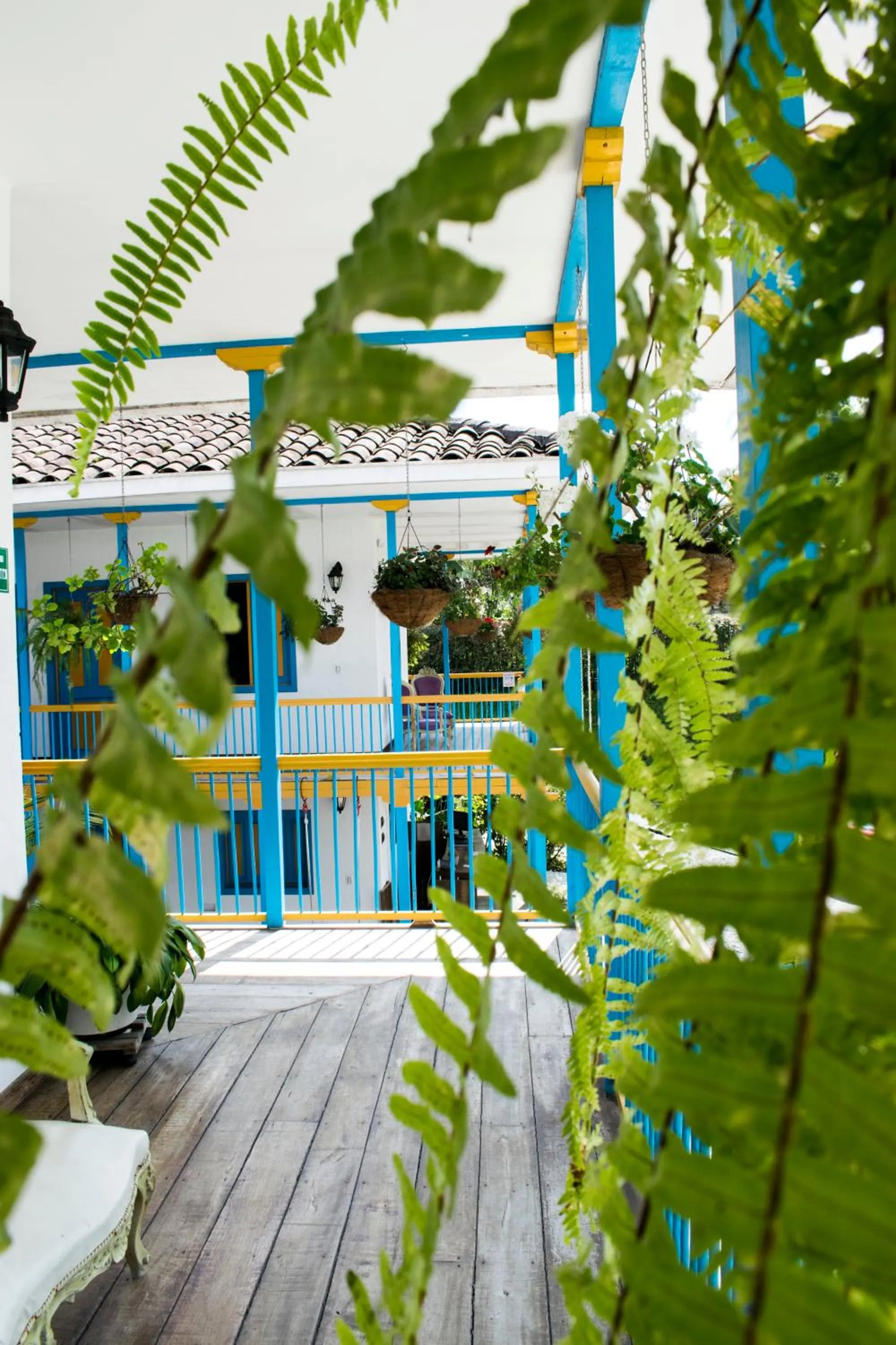 View (from property/room) in Hotel Hacienda Santa Clara