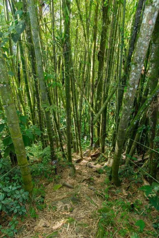 View (from property/room) in Hotel Hacienda Santa Clara