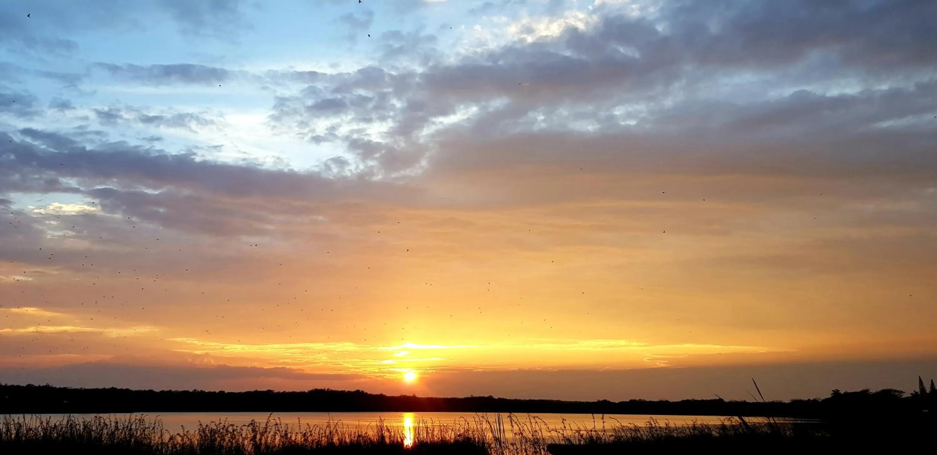 Natural landscape in Hotel Mayahau Coba