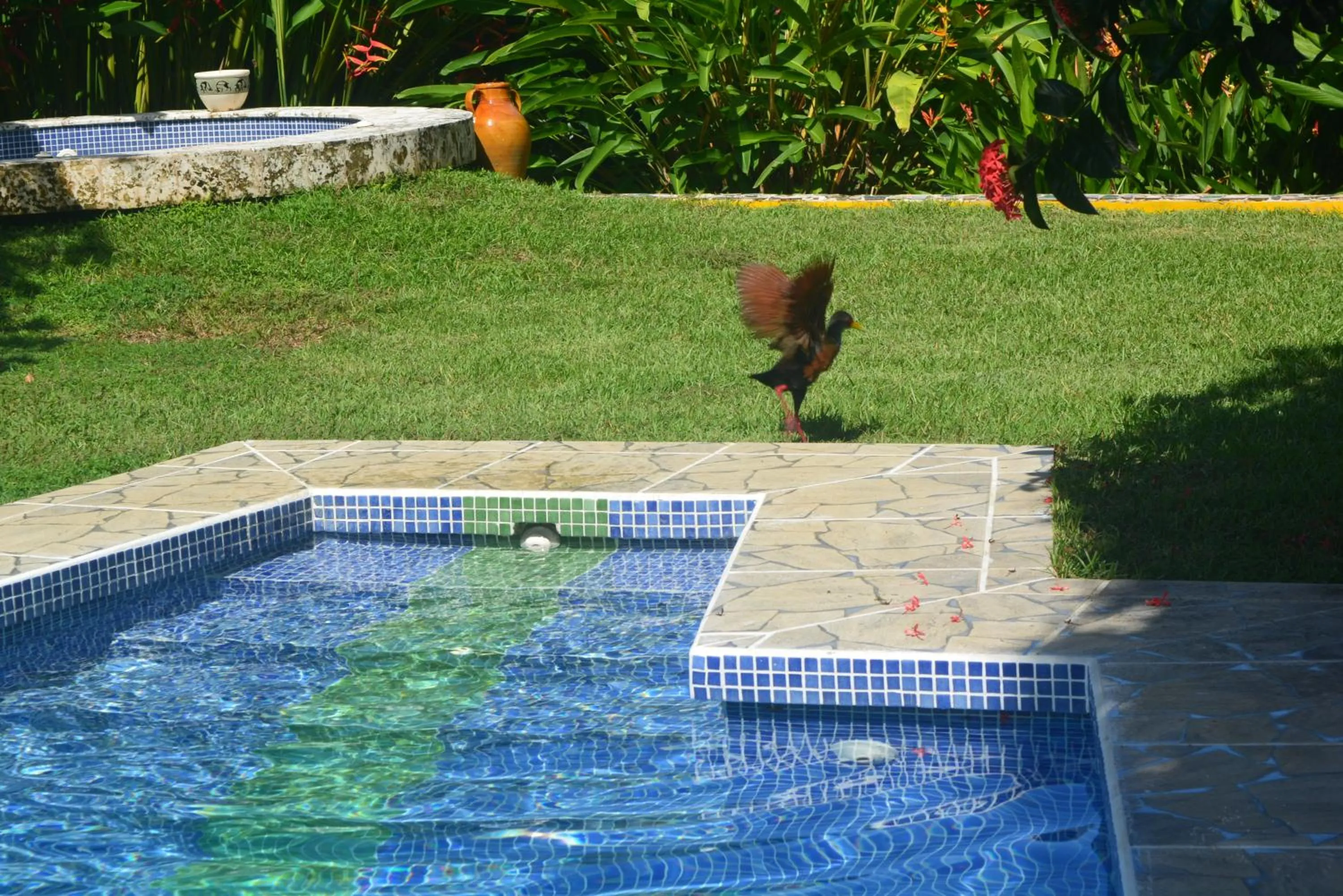Solarium in Dolce Uvita