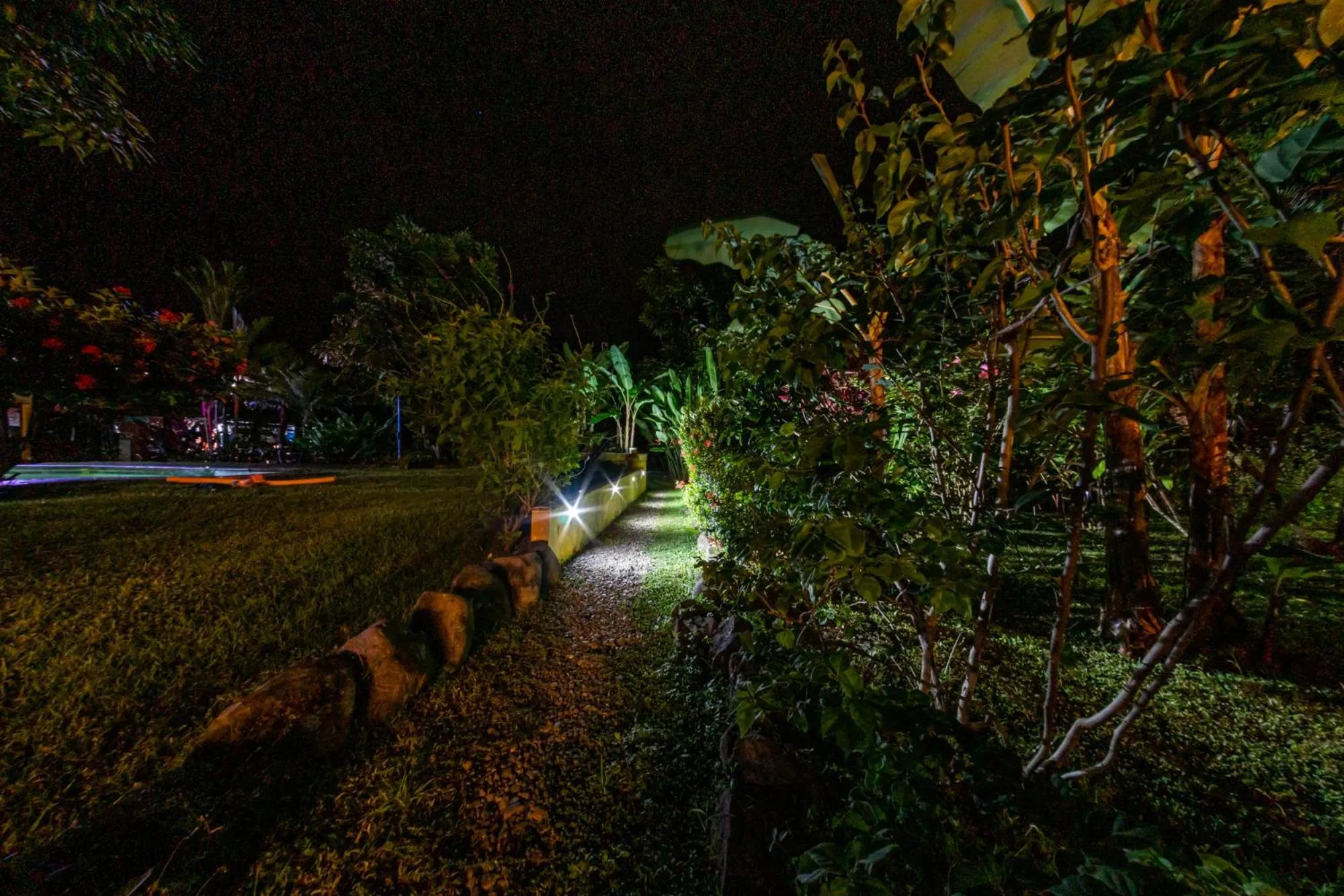 Garden in Dolce Uvita
