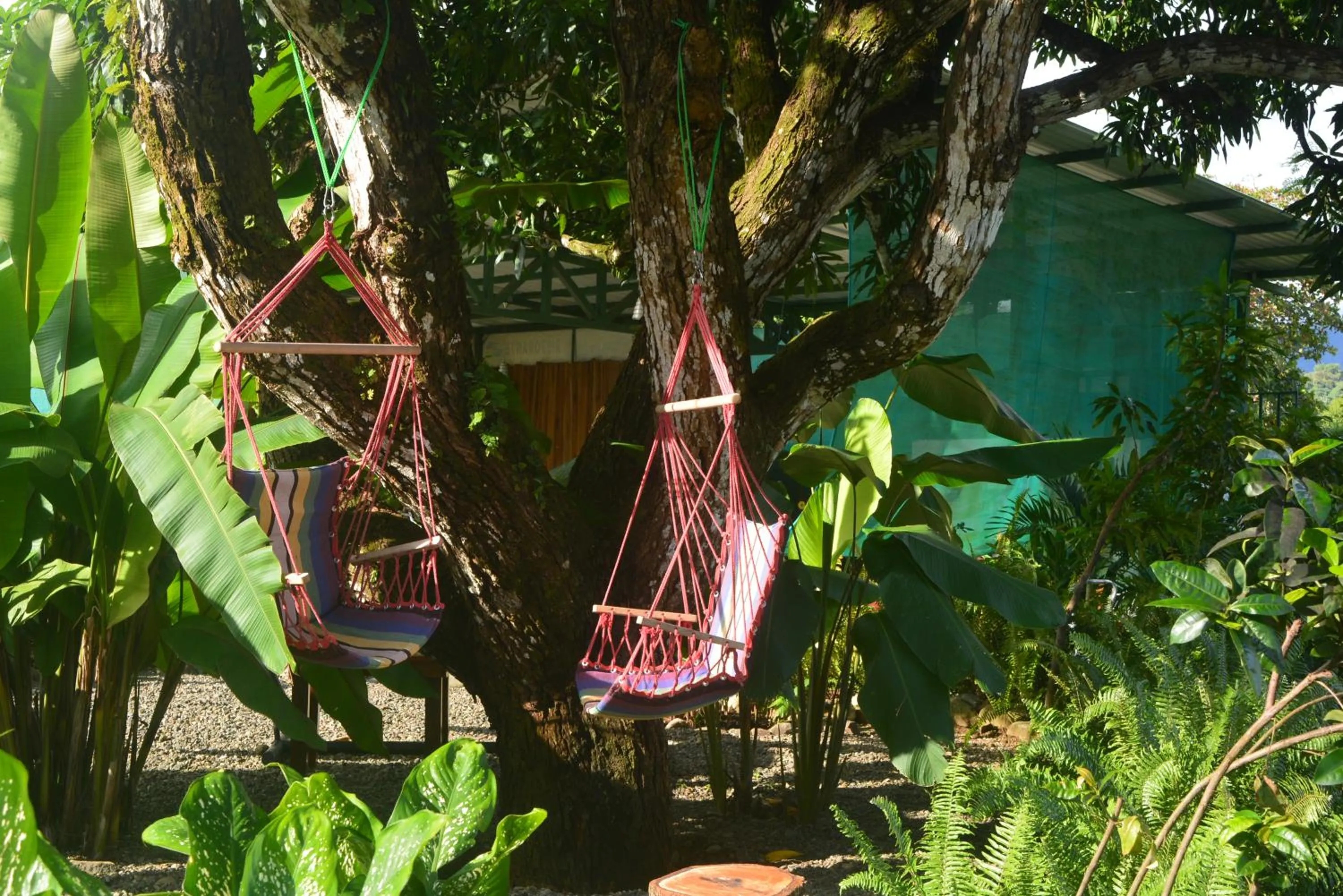 Garden in Dolce Uvita