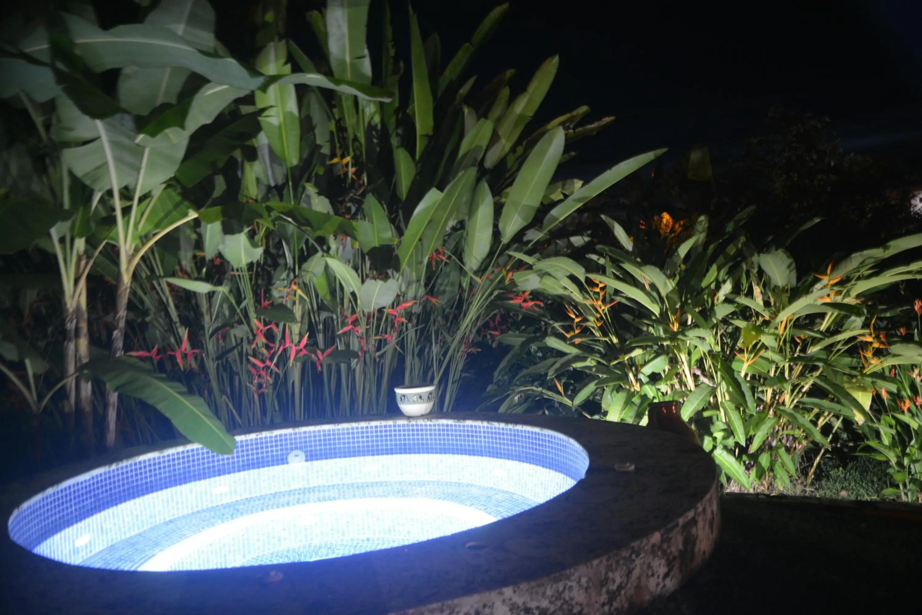 Hot Tub in Dolce Uvita