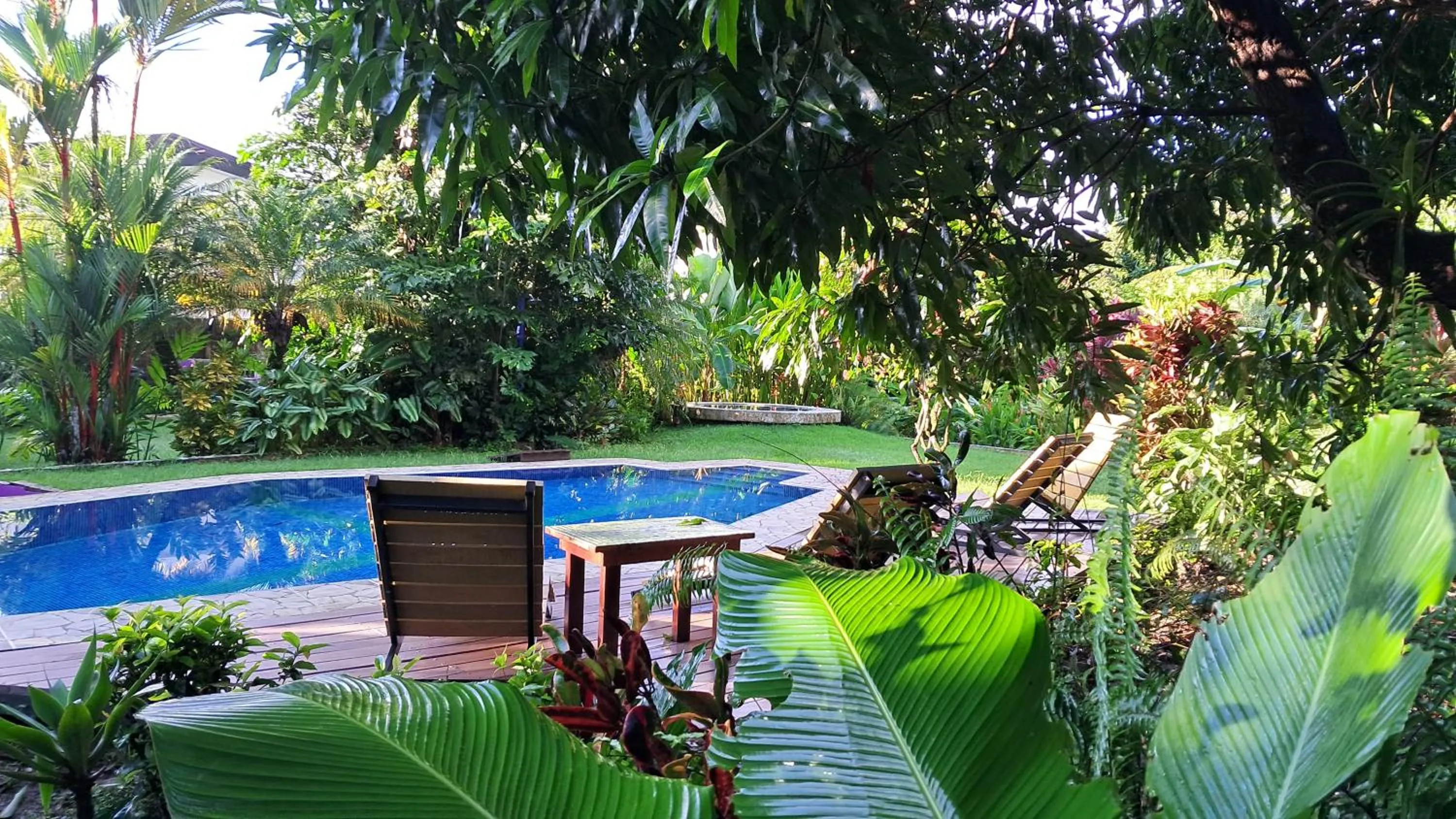 Pool view in Dolce Uvita