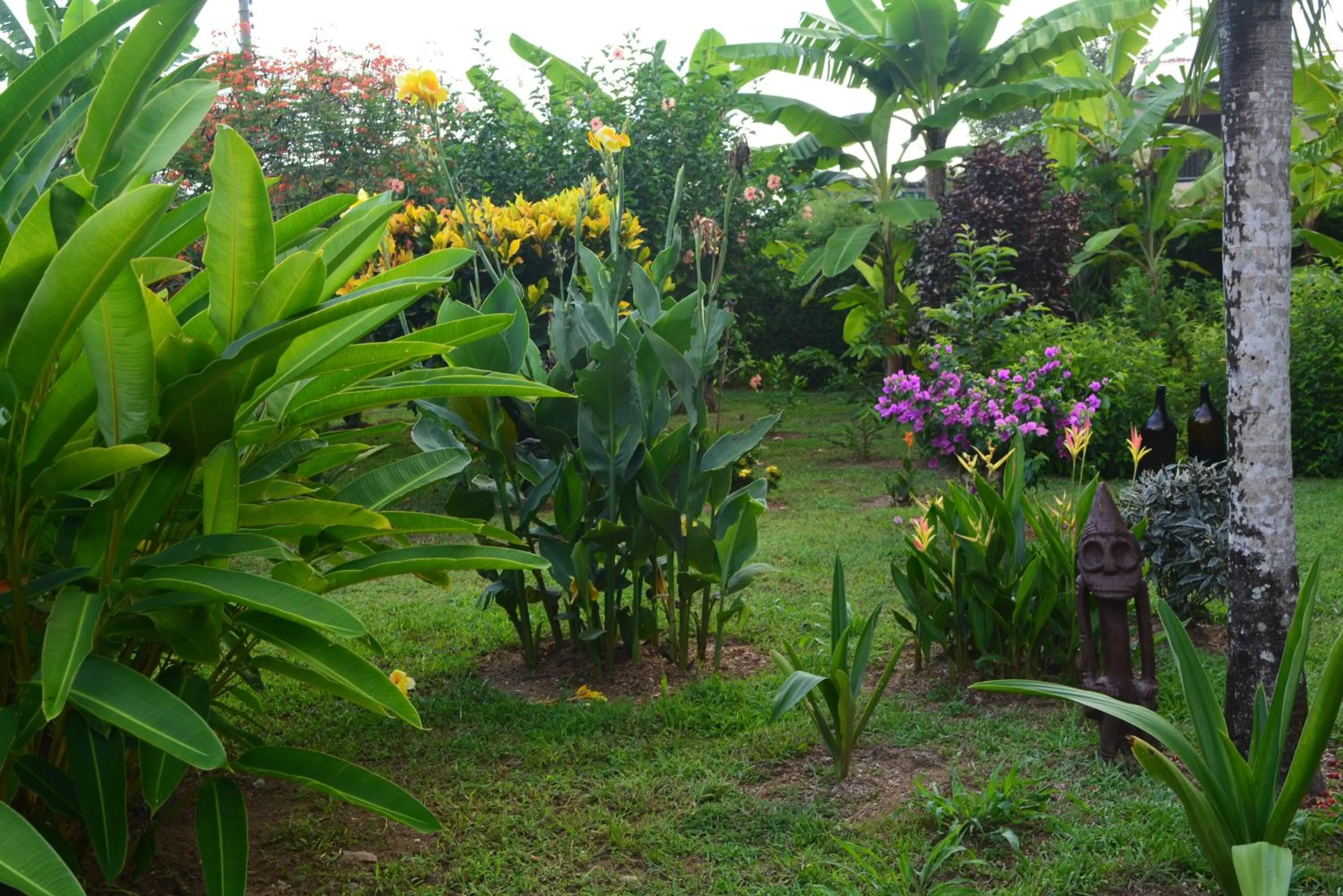 Garden in Dolce Uvita