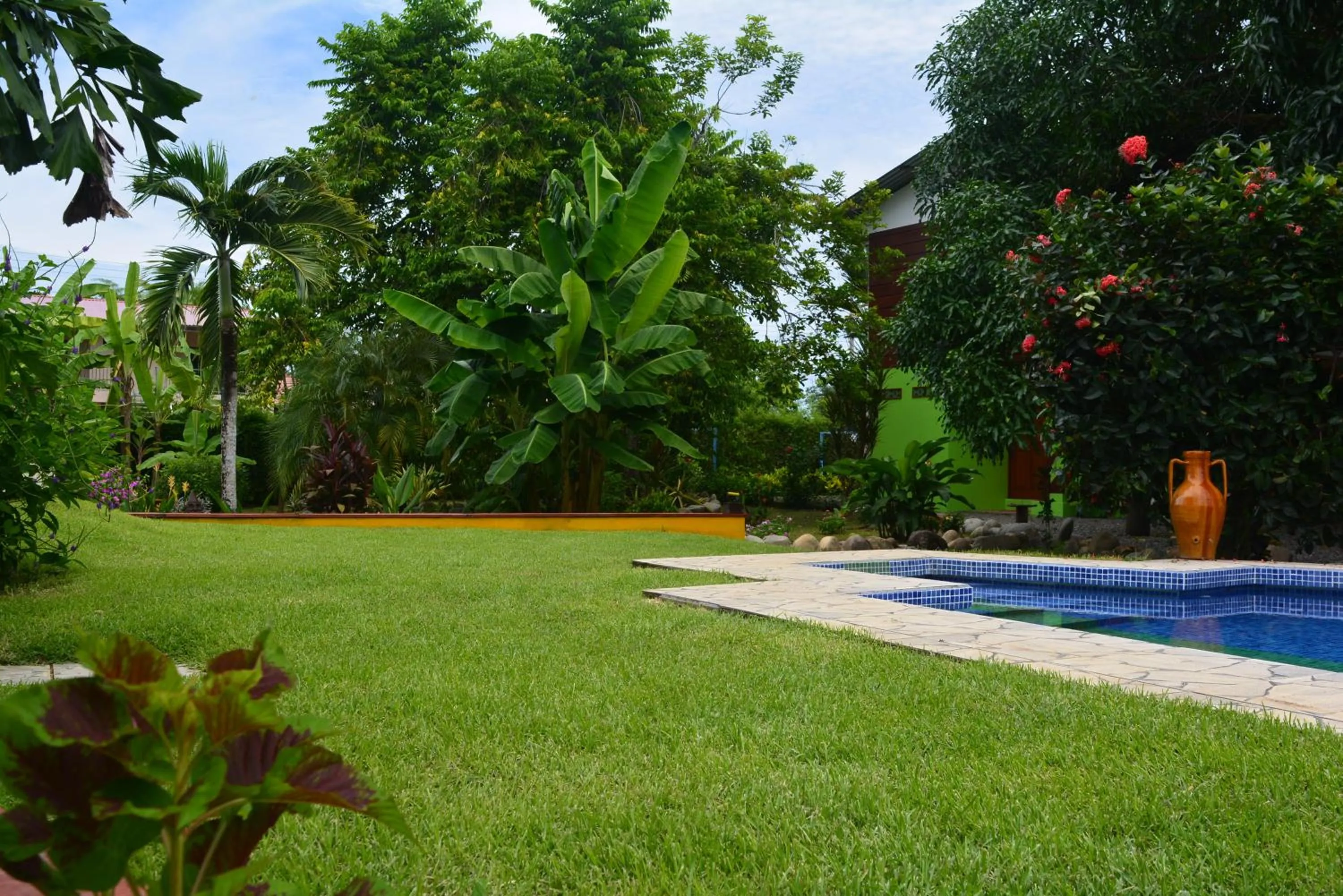 Swimming pool in Dolce Uvita