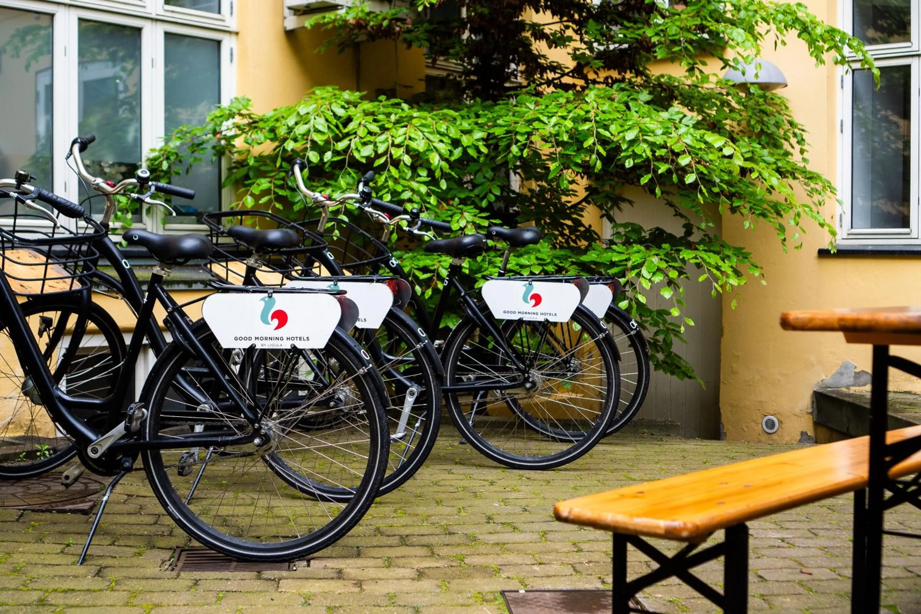 Garden in Good Morning City Copenhagen Star