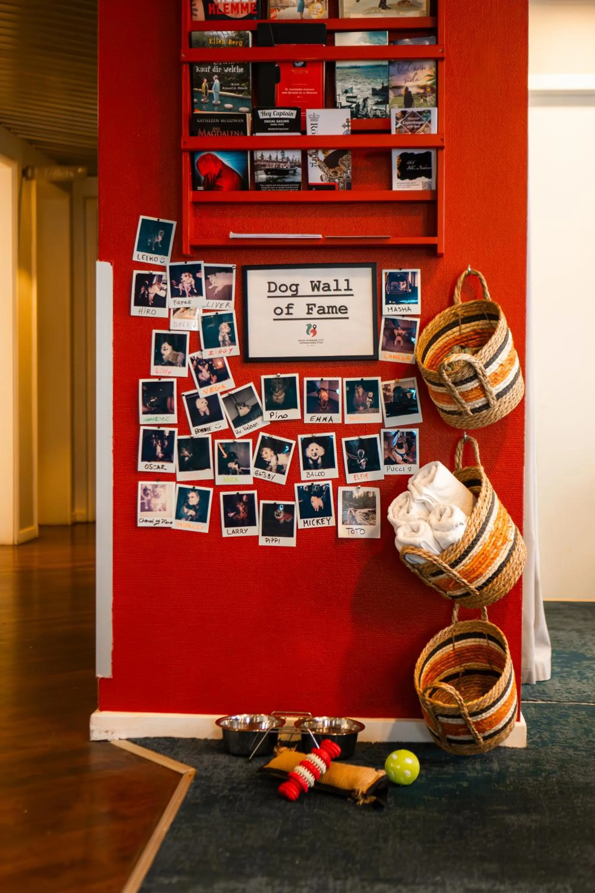 Animals in Good Morning City Copenhagen Star