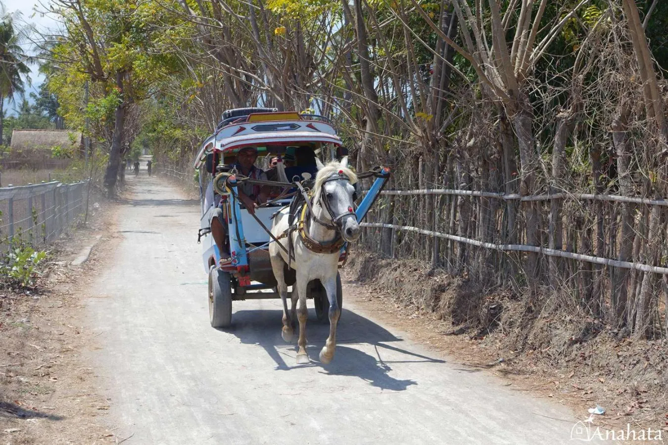 Animals in Anahata - Tropical Private Villas