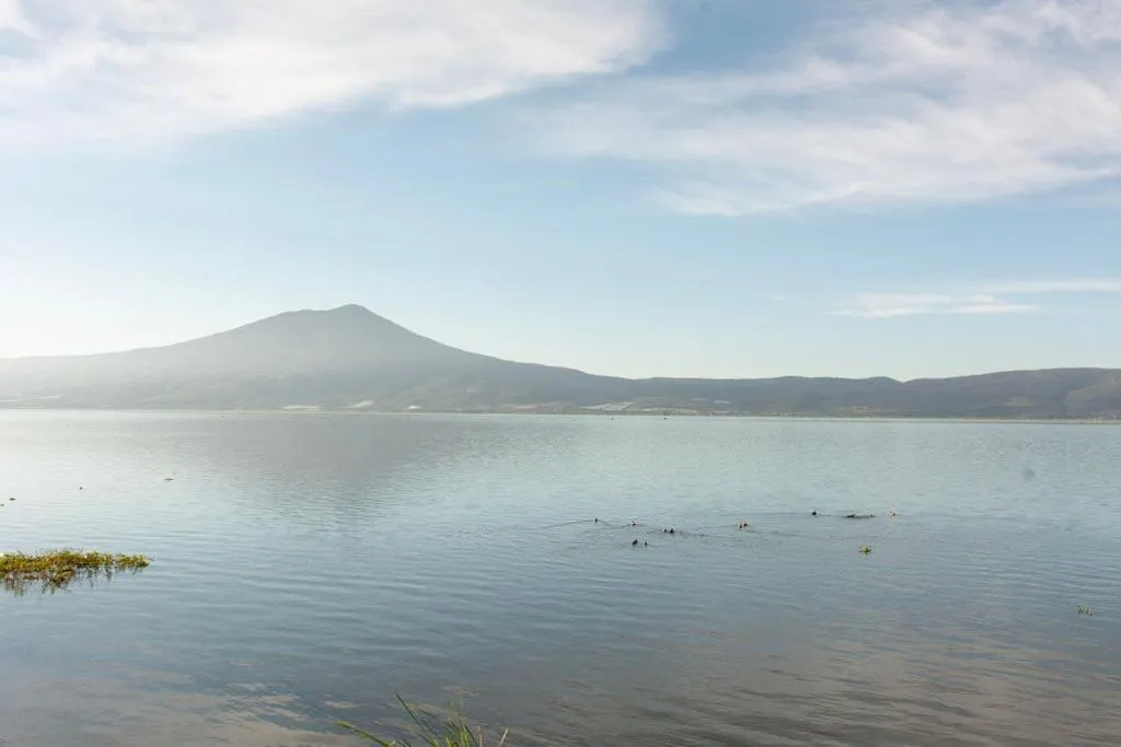 Lake view in Casa Palomas Bed and Breakfast