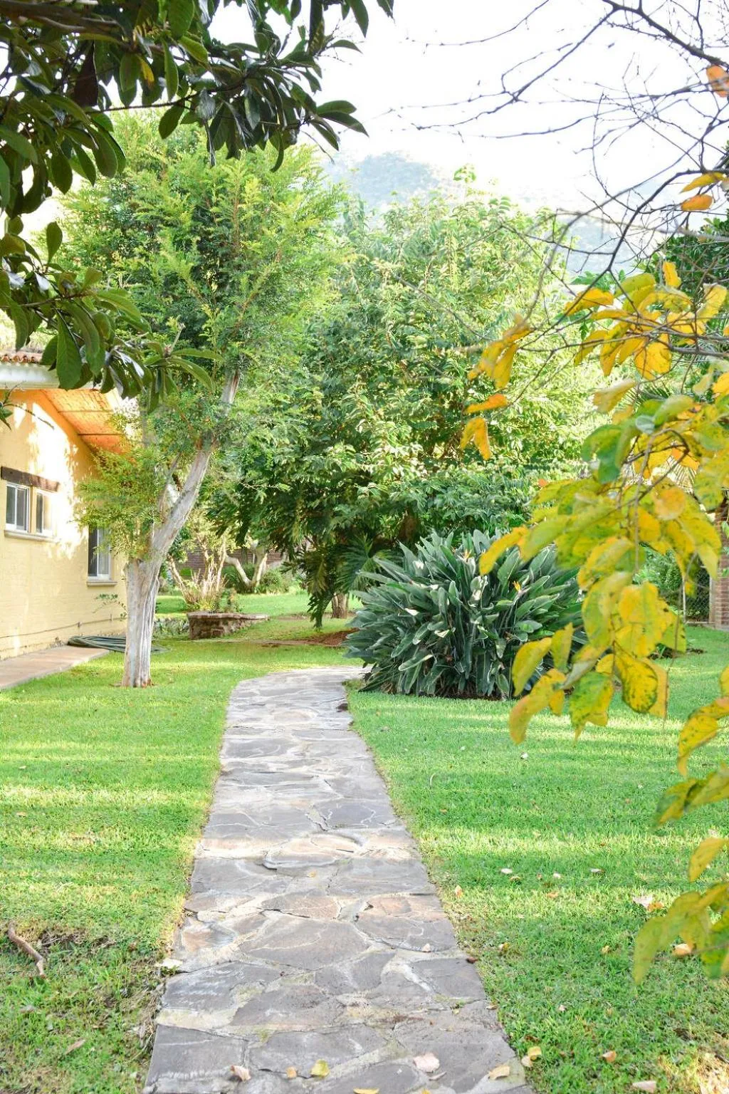 Garden view in Casa Palomas Bed and Breakfast