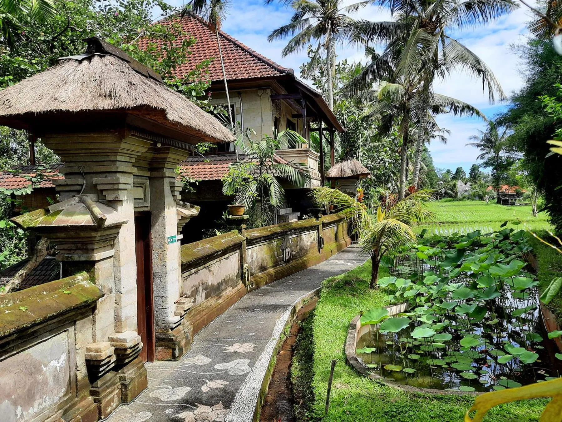 Property building in Alam Jiwa Ubud