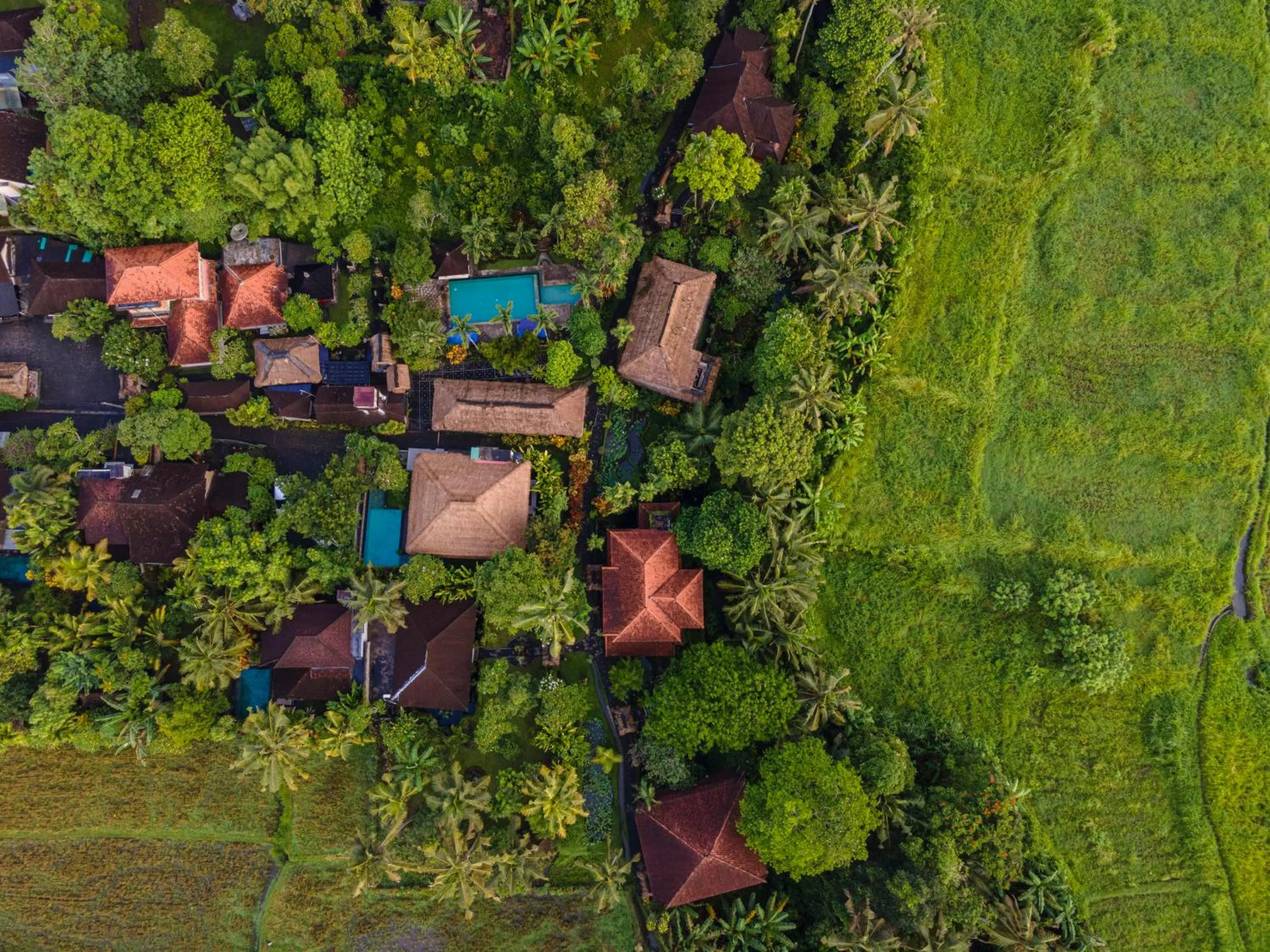 Bird's eye view in Alam Jiwa Ubud
