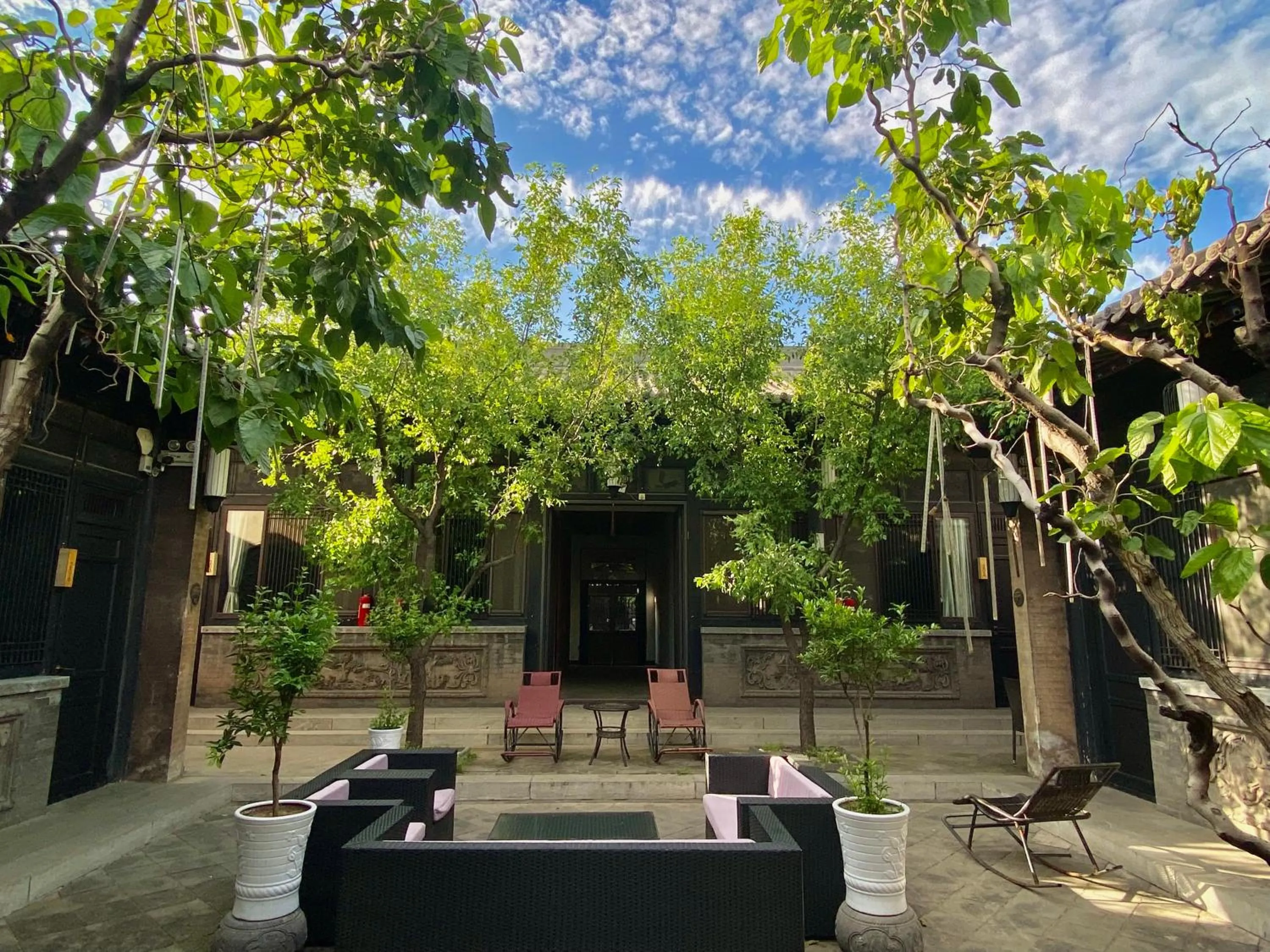 Garden view in Elsewhere Hotel Inn North Street Branch