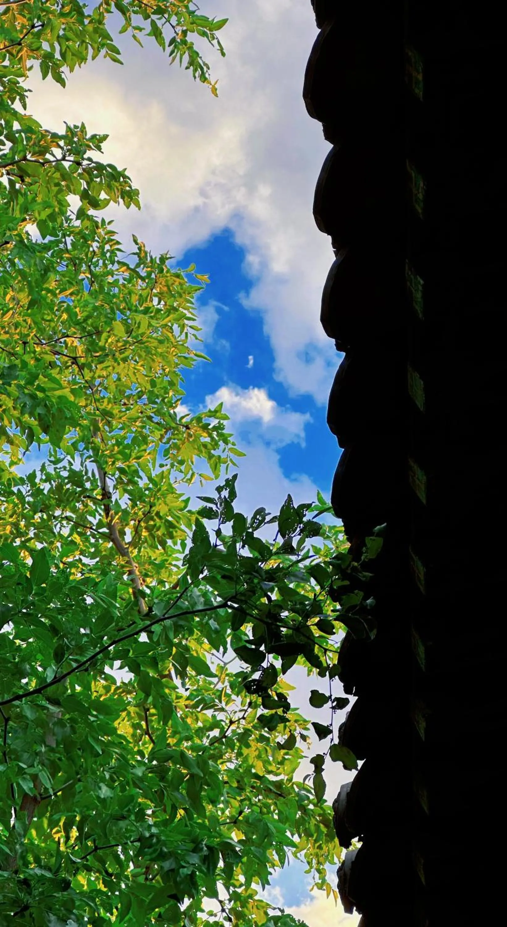 Property building in Elsewhere Hotel Inn North Street Branch