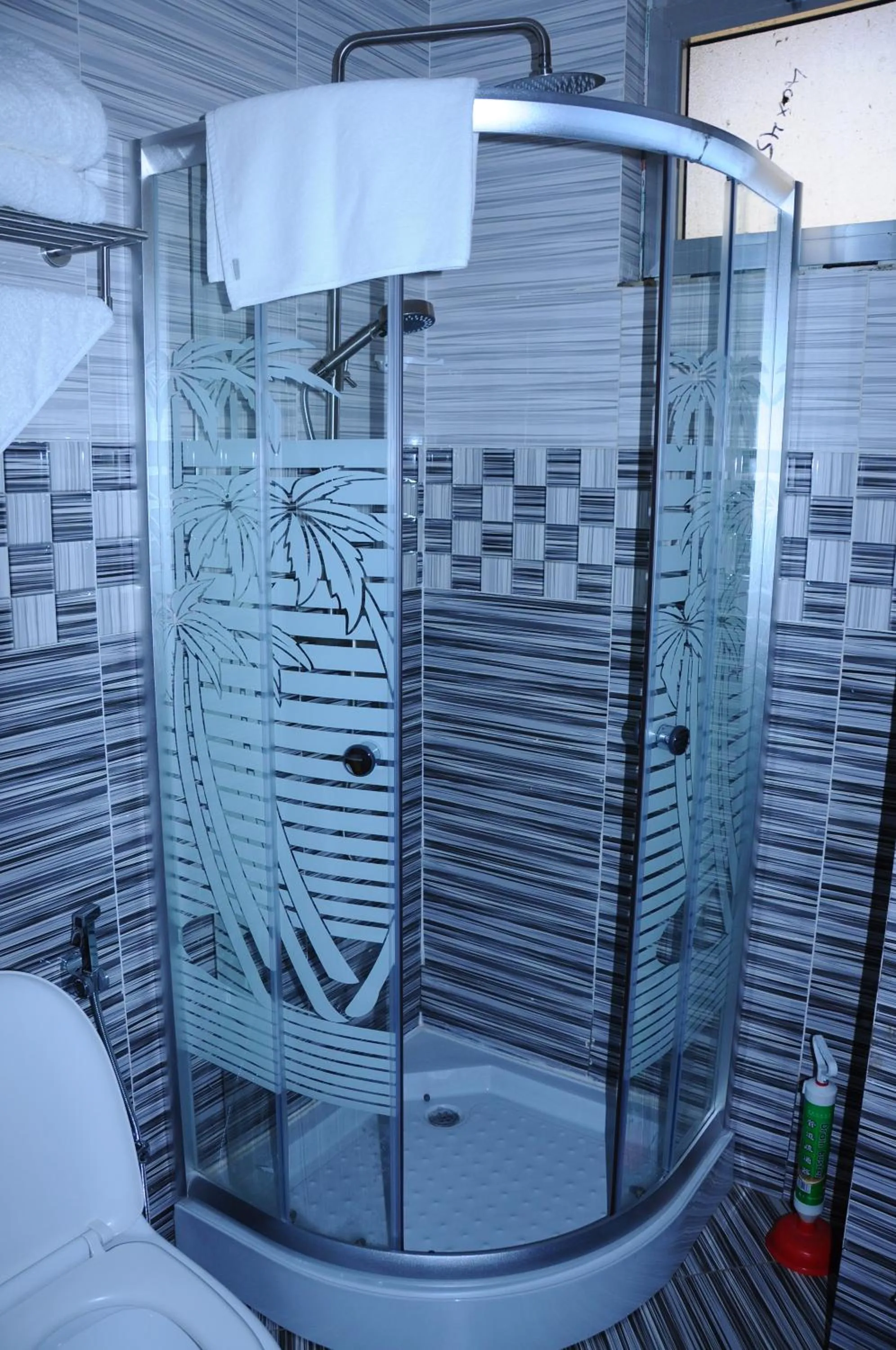 Shower in Guzara Hotel Addis