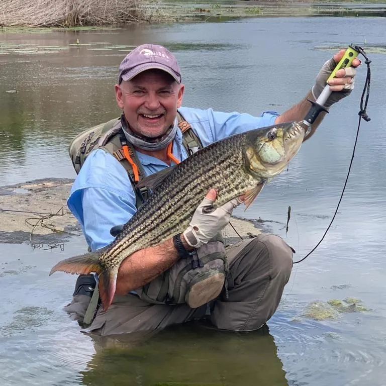 Fishing in River Hill Lodge