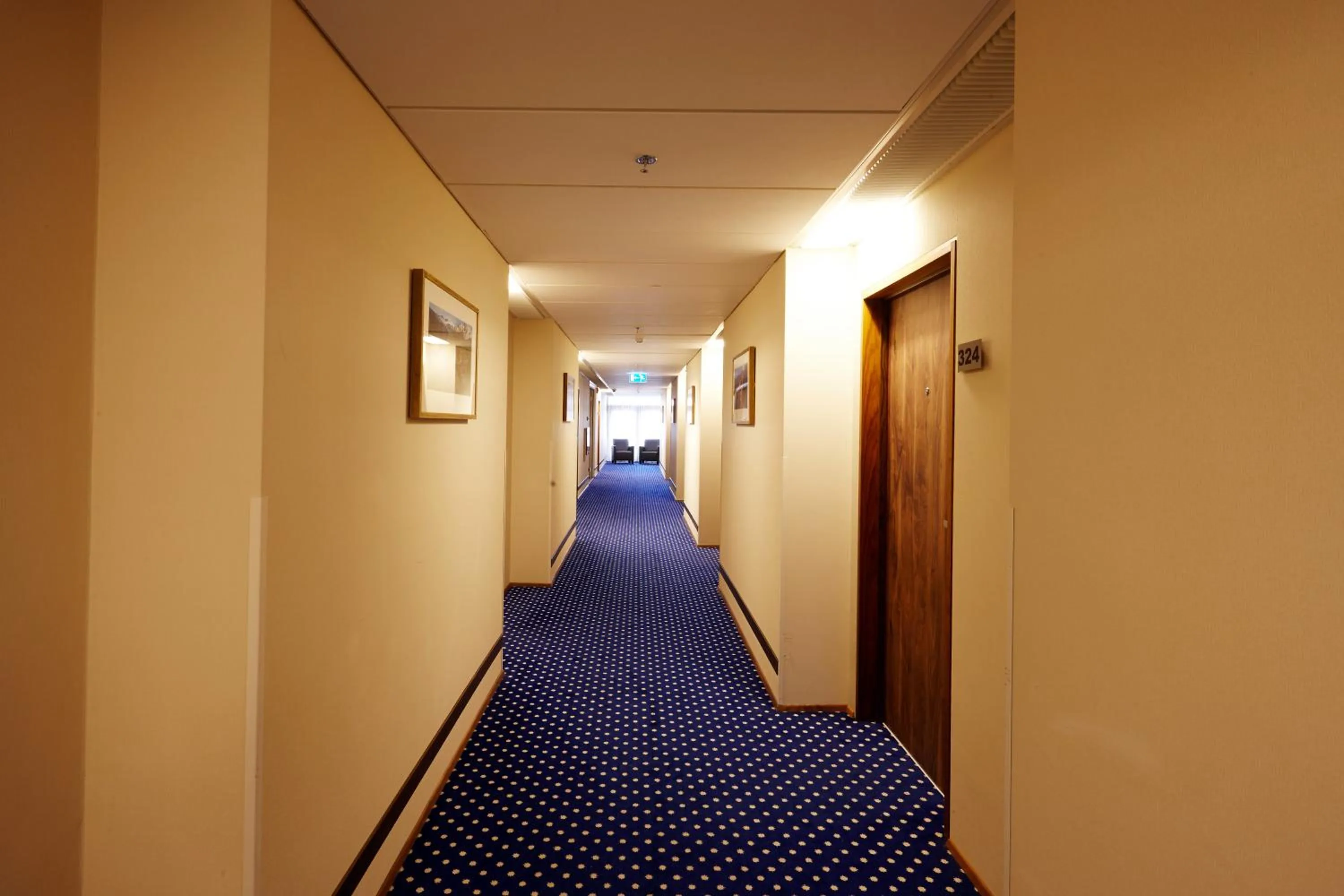 Other in Hotel Reykjavík Grand